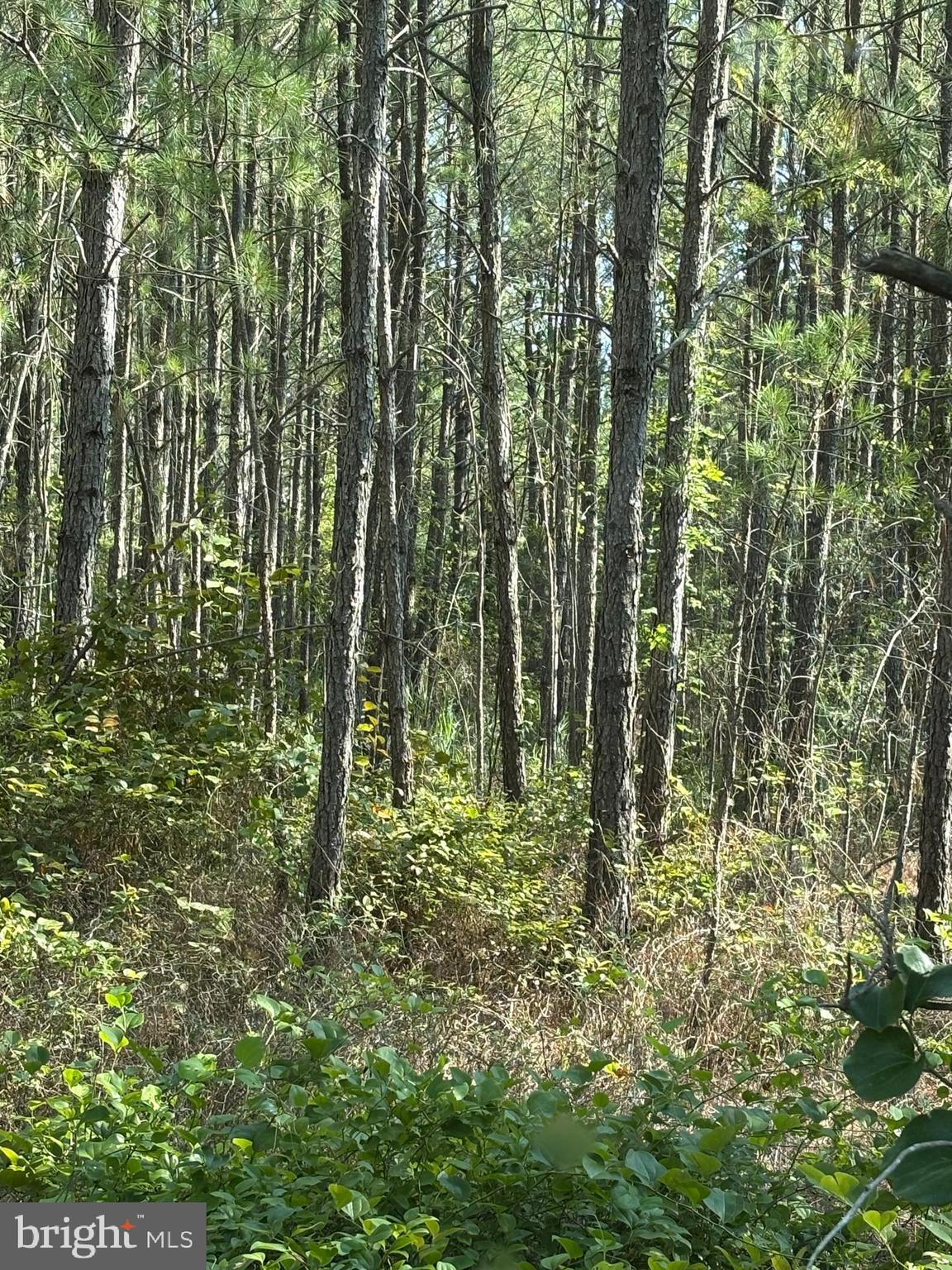 0 BOONE ROAD PARCEL 1370