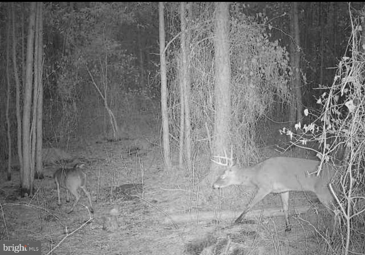 0 BOONE ROAD PARCEL 1370