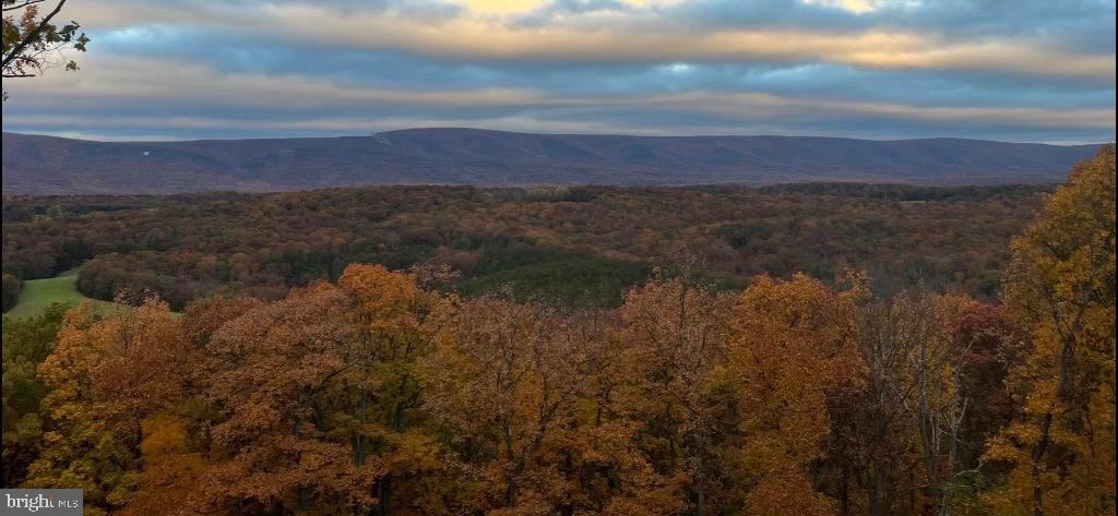 TREE BANK AT NORTH MOUNTAIN - Residential