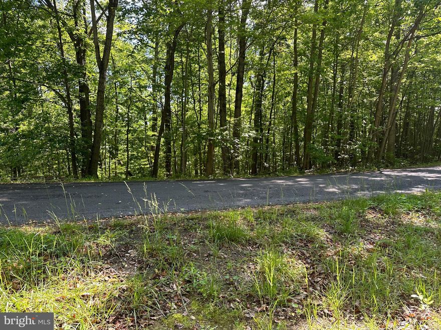 Beautiful scenic 5 Acre Lot! Minutes away from Downtown Front Royal, Appalachian trail, Shenandoah River, Skyline Drive and a variety of Local Wineries .  Scenic Neighborhood drive with well maintained paved roads.  Previous perk and sit work completed in 2001 for 3 bedroom home. 

Use 1351 Hillandale for GPS guidance.