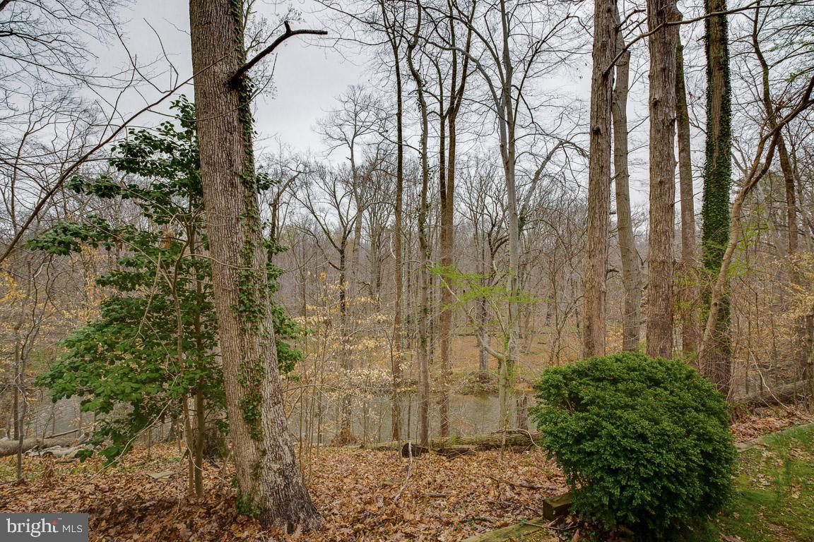 CARDINAL SQUARE - Residential