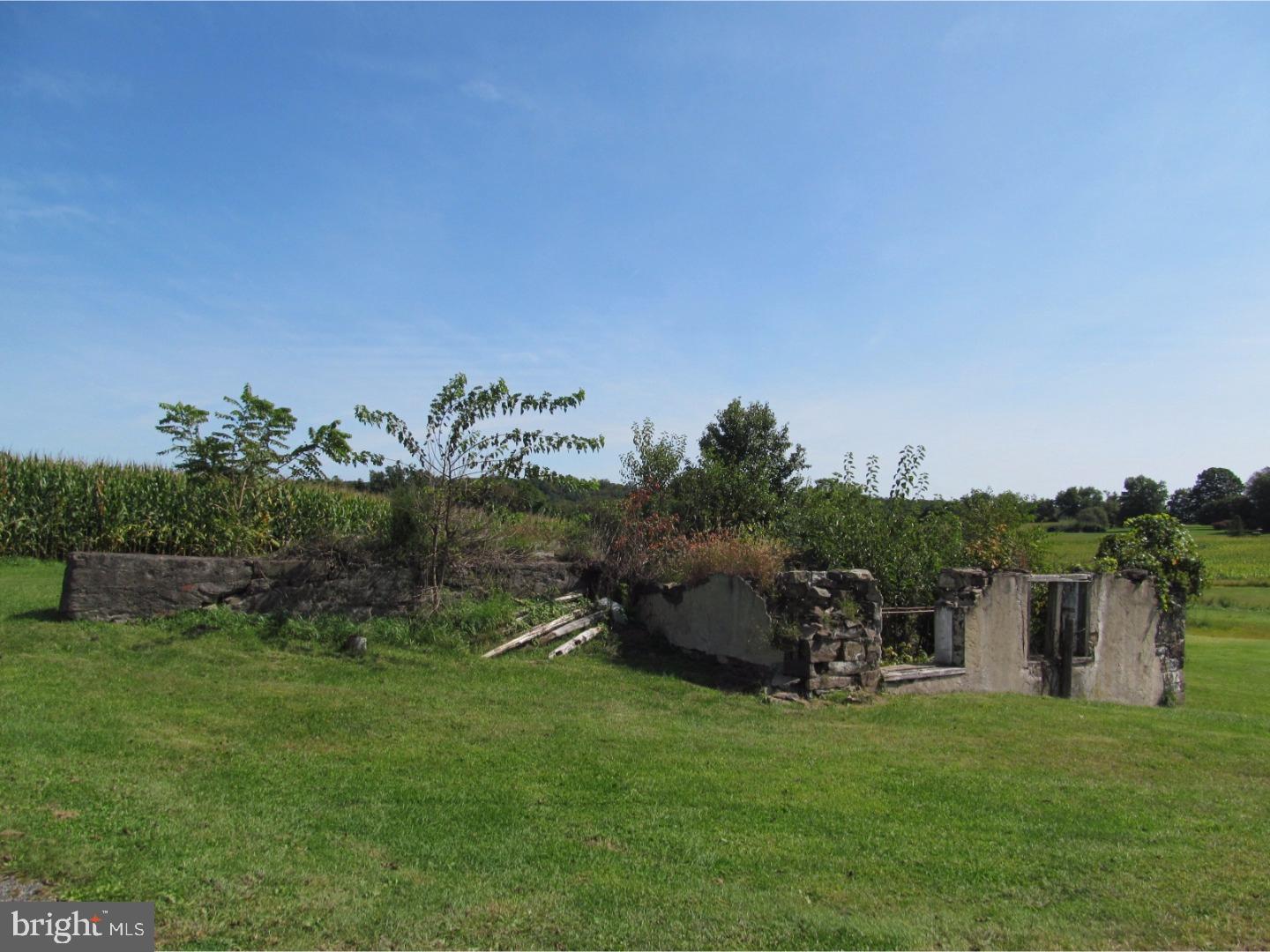 NONE AVAILABLE - Farm