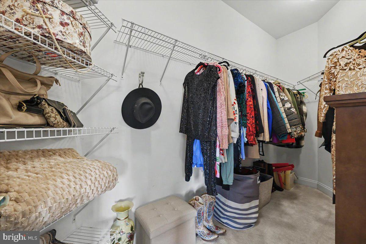 RAVENS CLAW - Residential