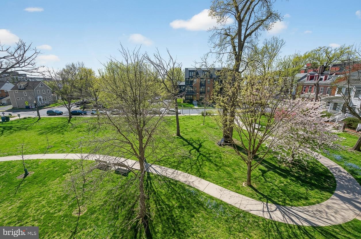 CLARENDON PARK - Residential
