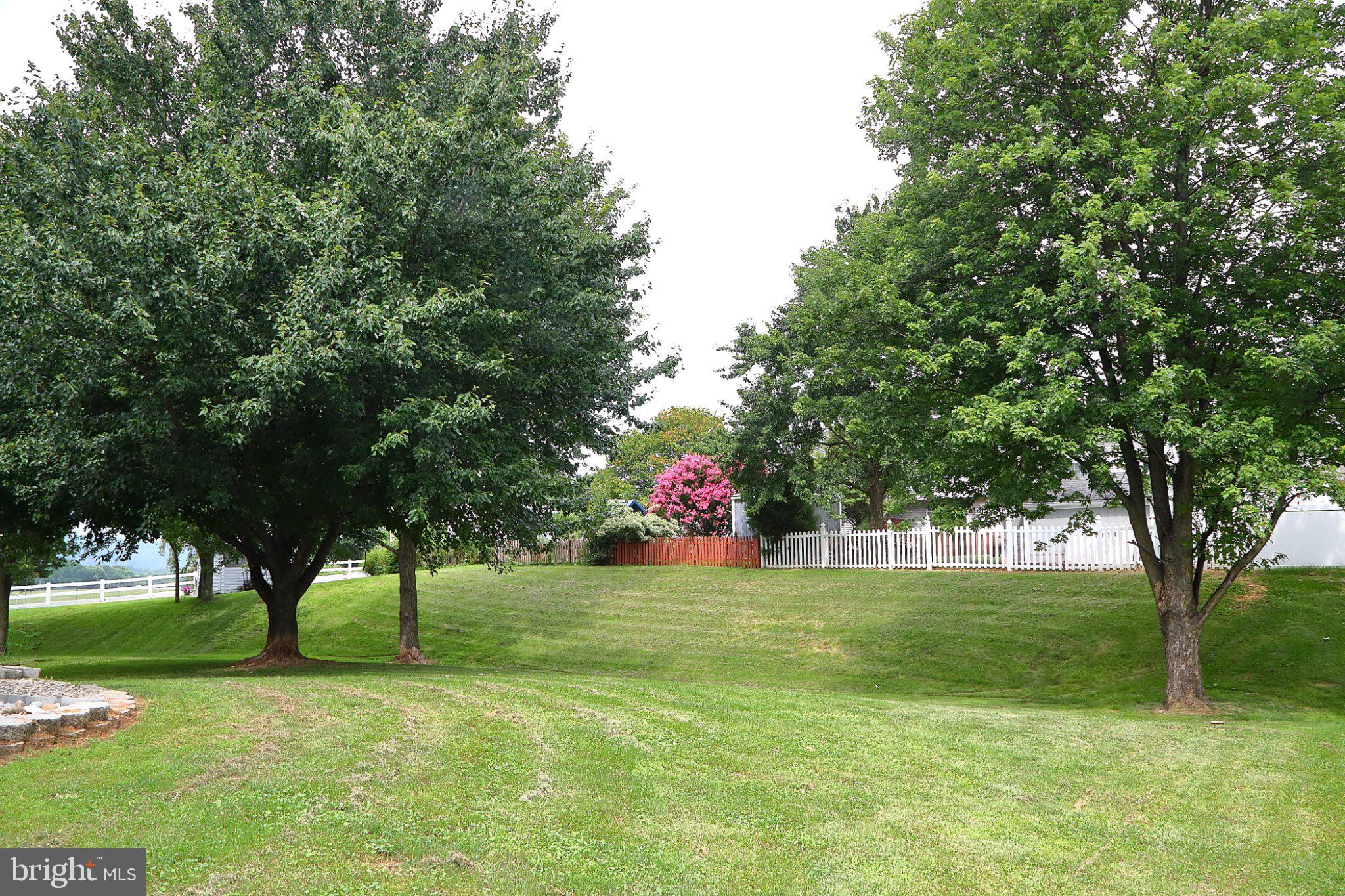 236 CHELMSFORD DRIVE