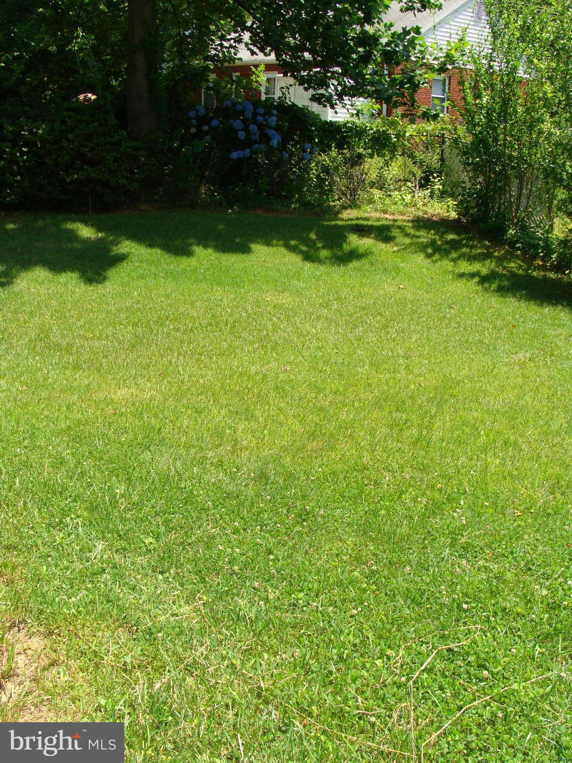 PIMMIT HILLS - Residential Lease