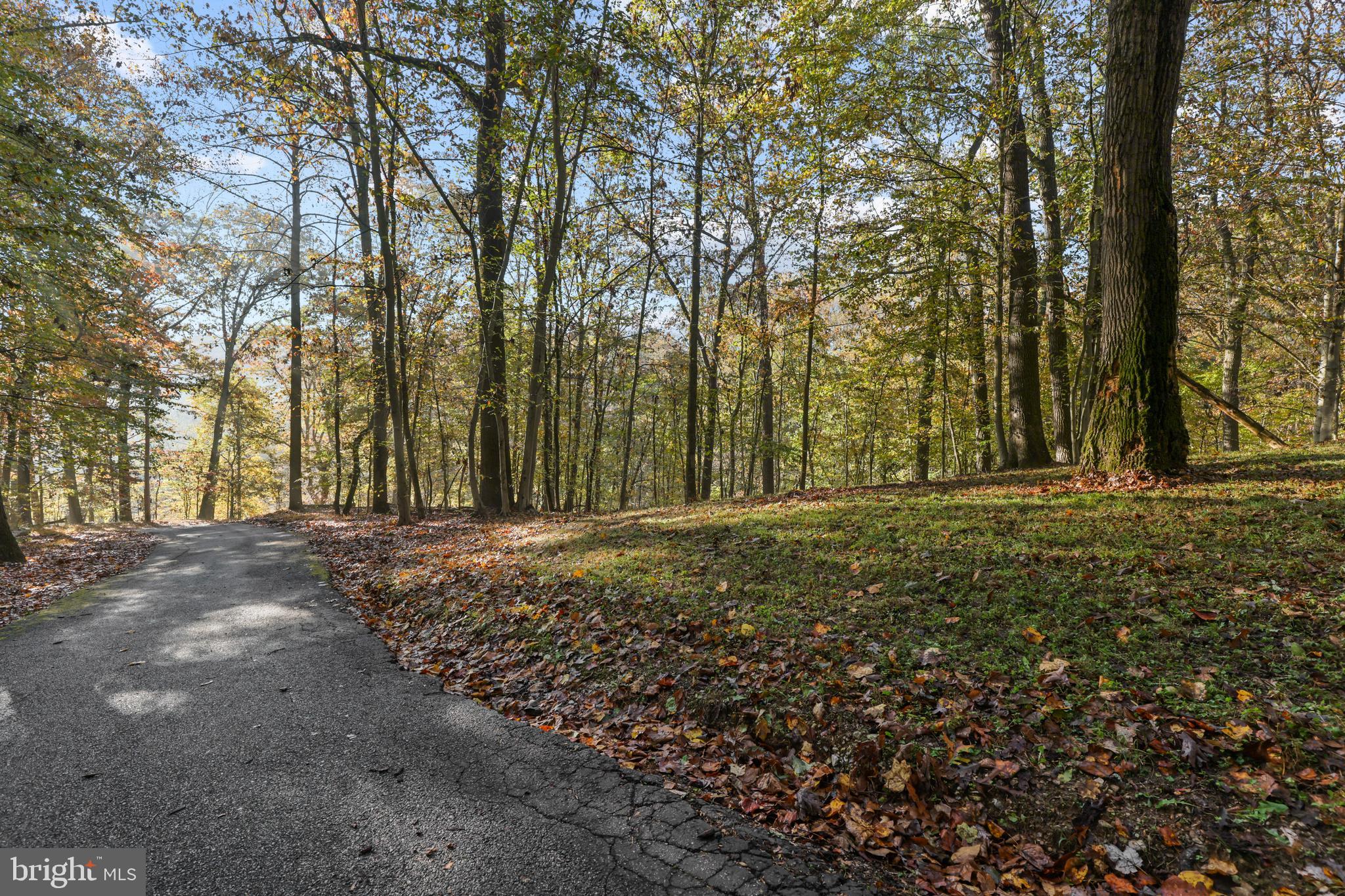 COCKEYSVILLE - Residential