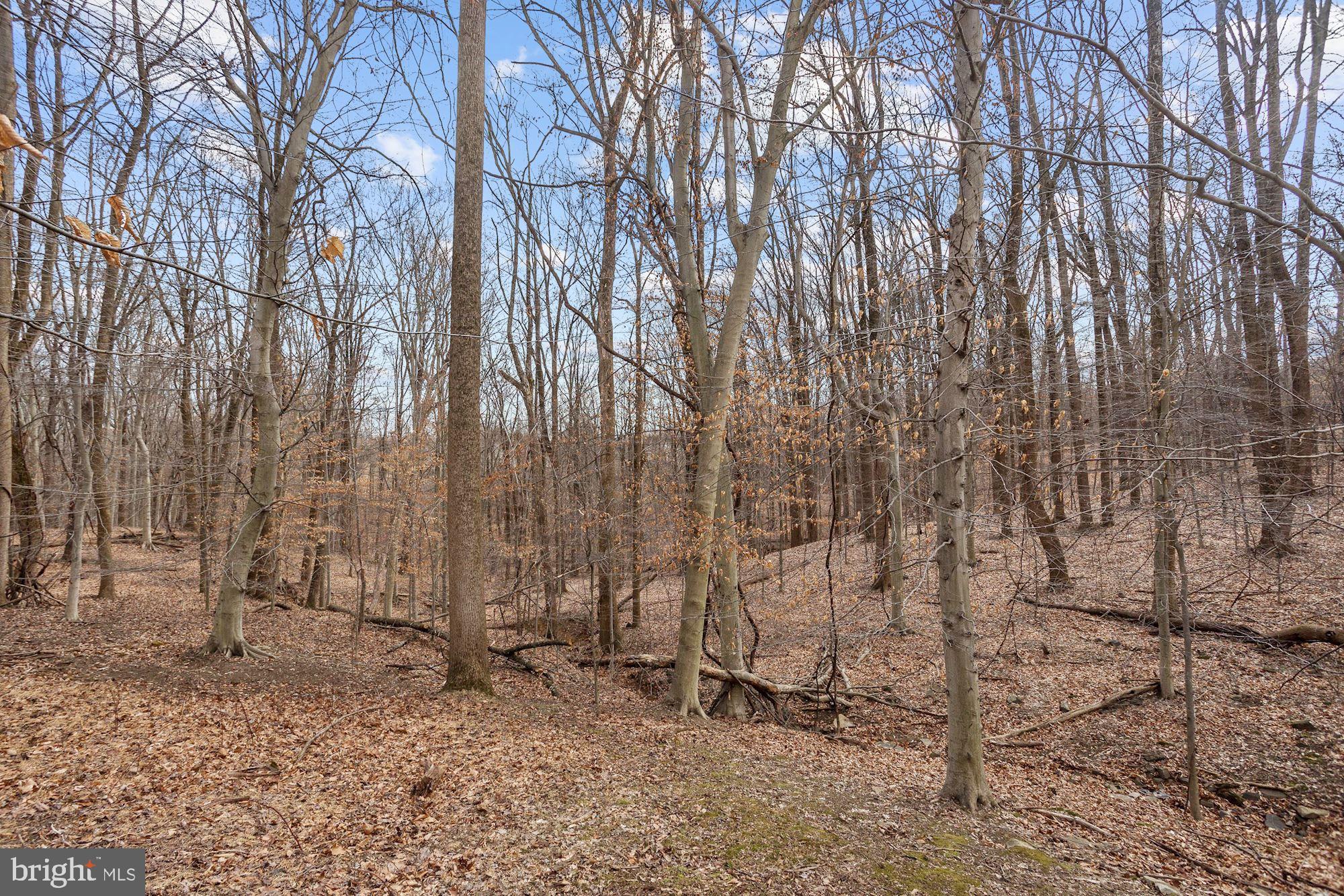 AUTUMN VIEW - Residential