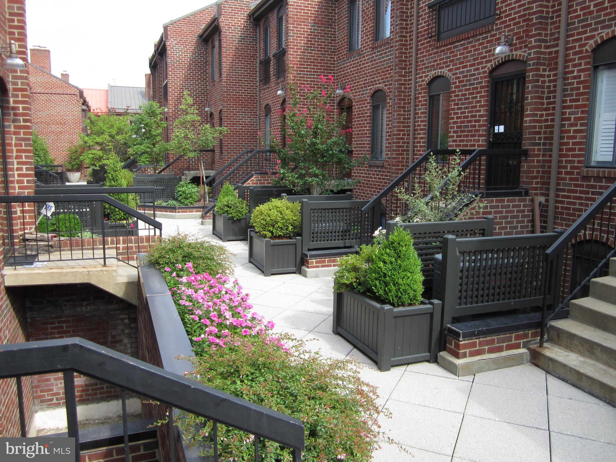 GEORGETOWN - Residential Lease