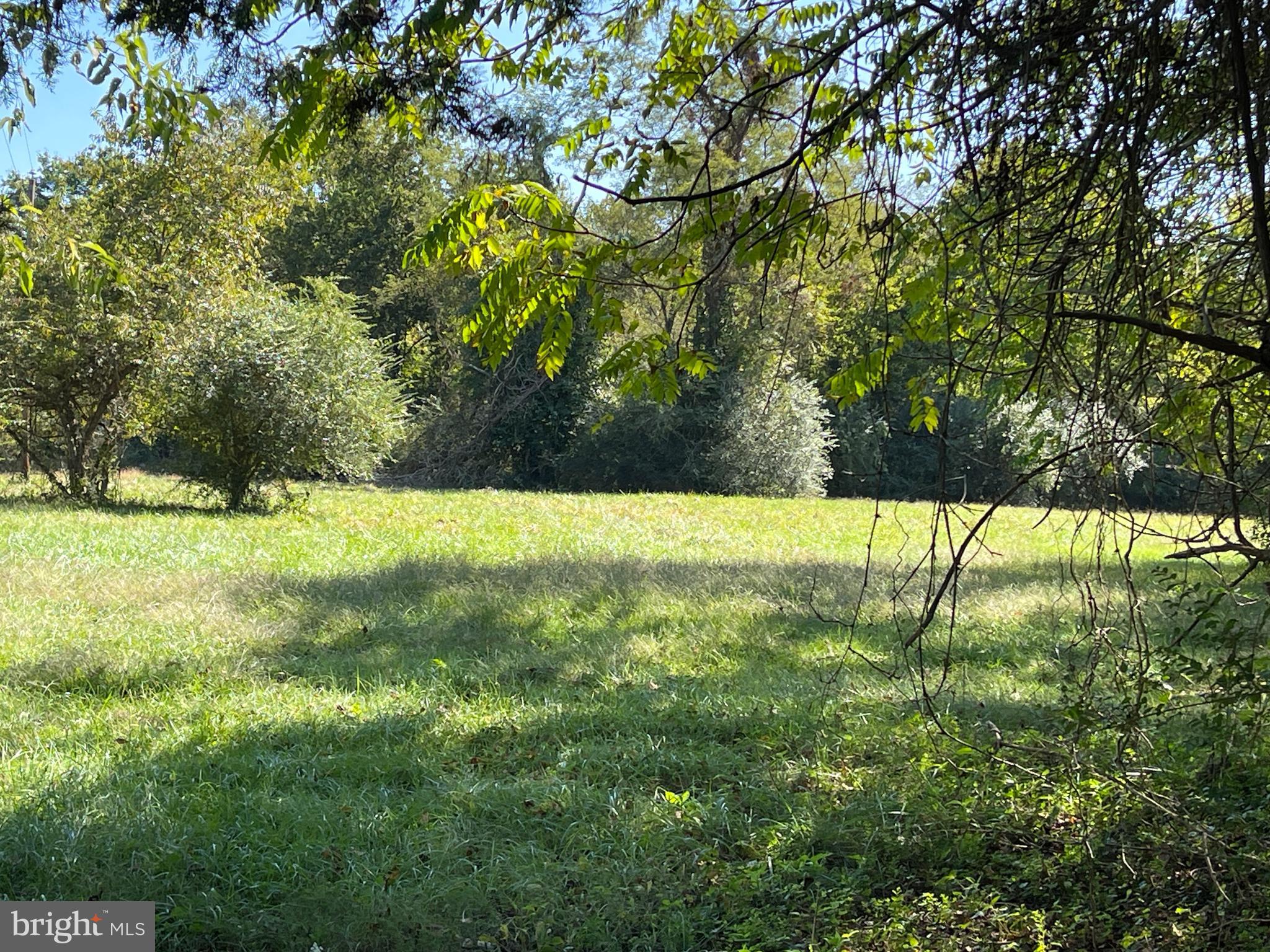 SHILOH DIST - Residential