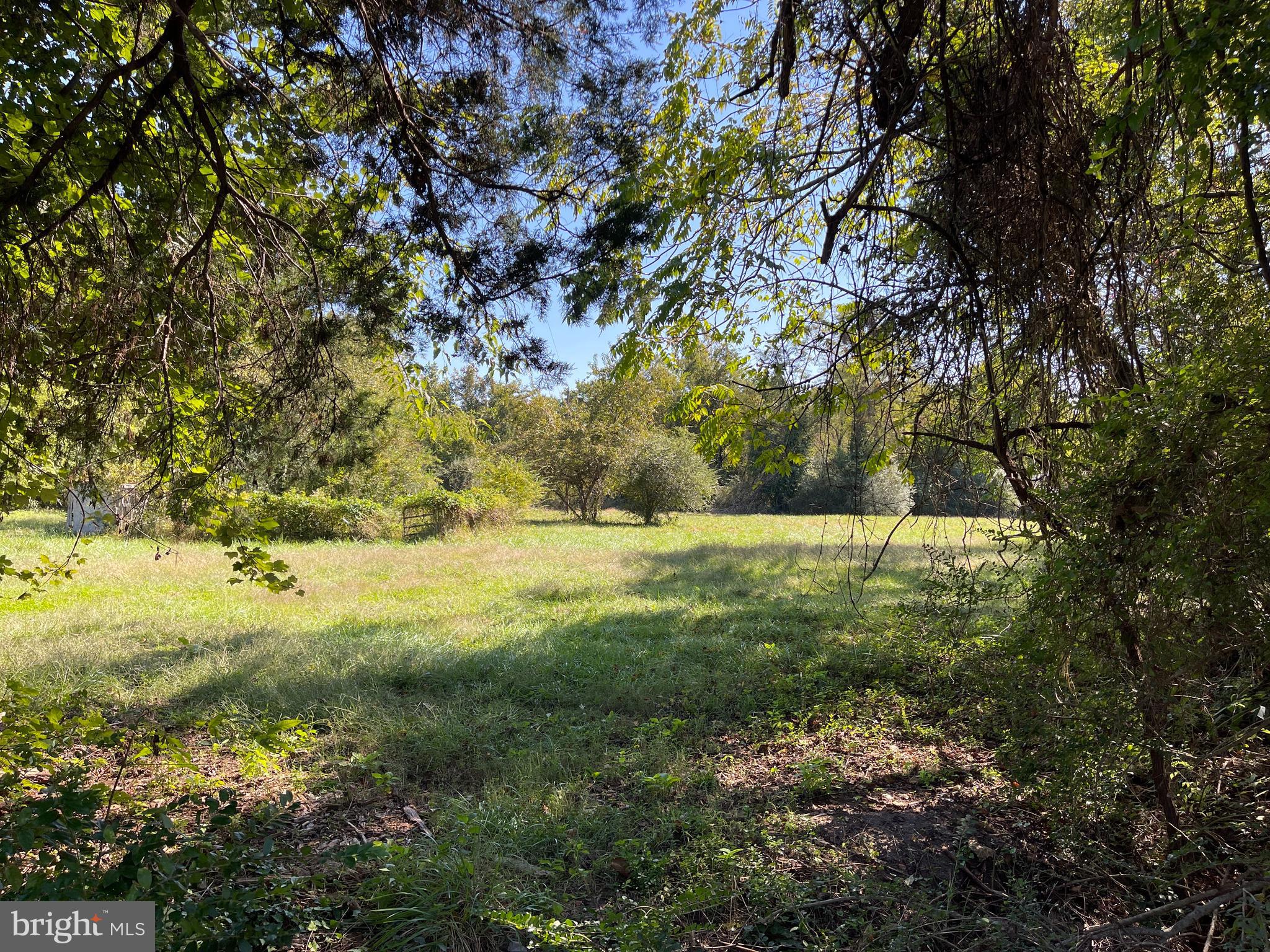 SHILOH DIST - Residential