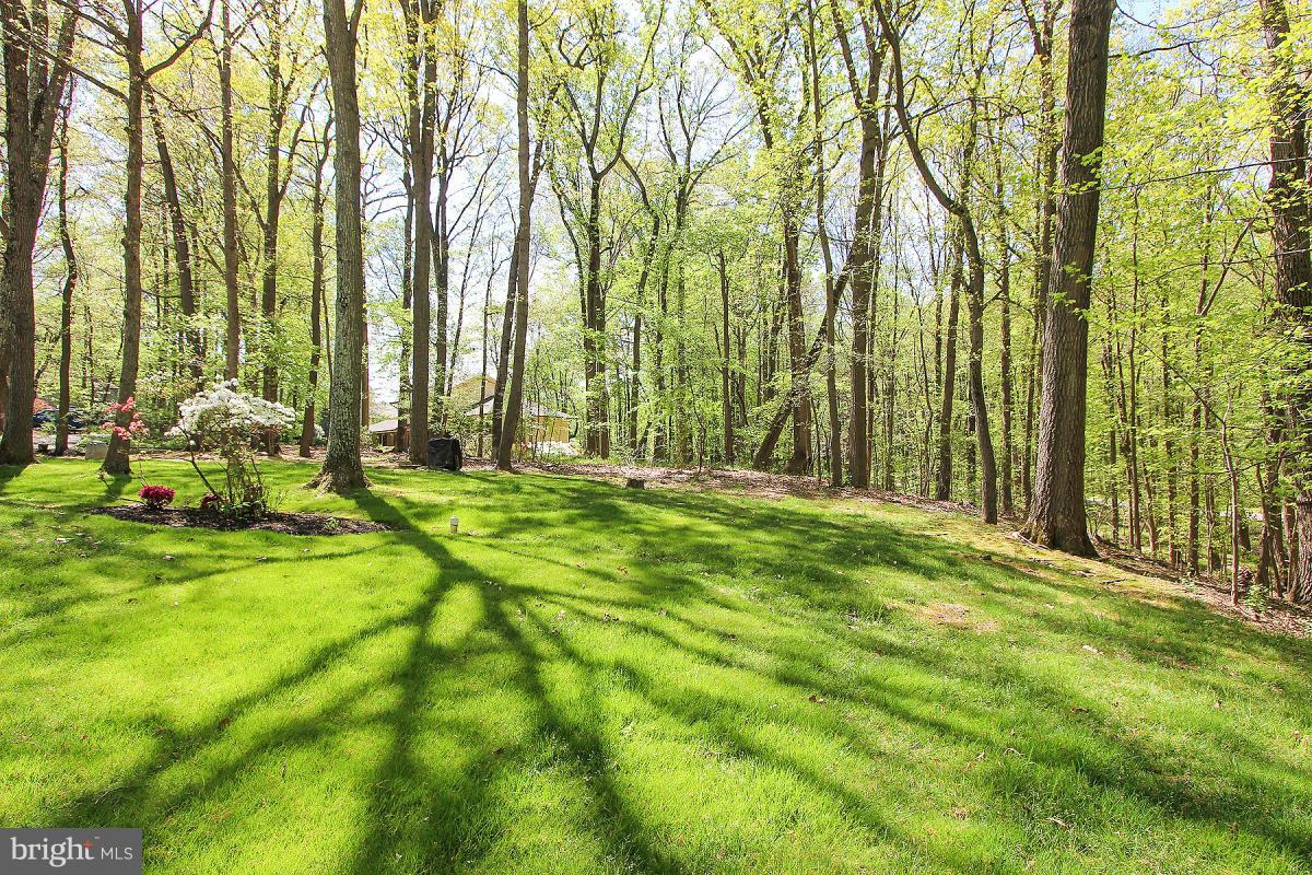 SIMPSON WOODS - Residential