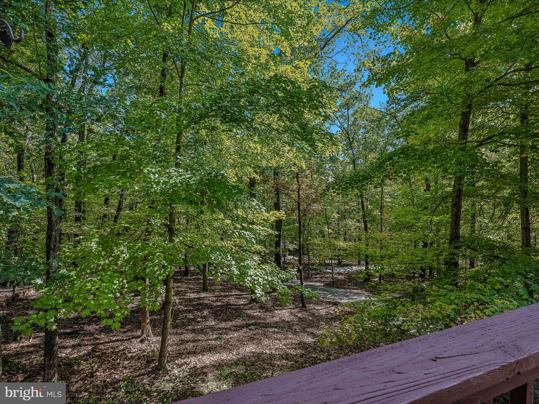 COOLFONT MOUNTAINSIDE - Residential