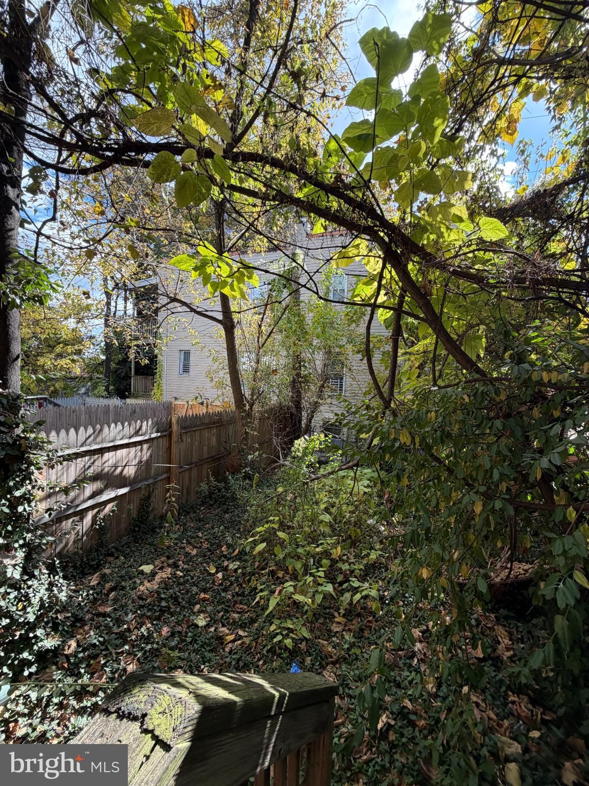 PEN LUCY - Residential