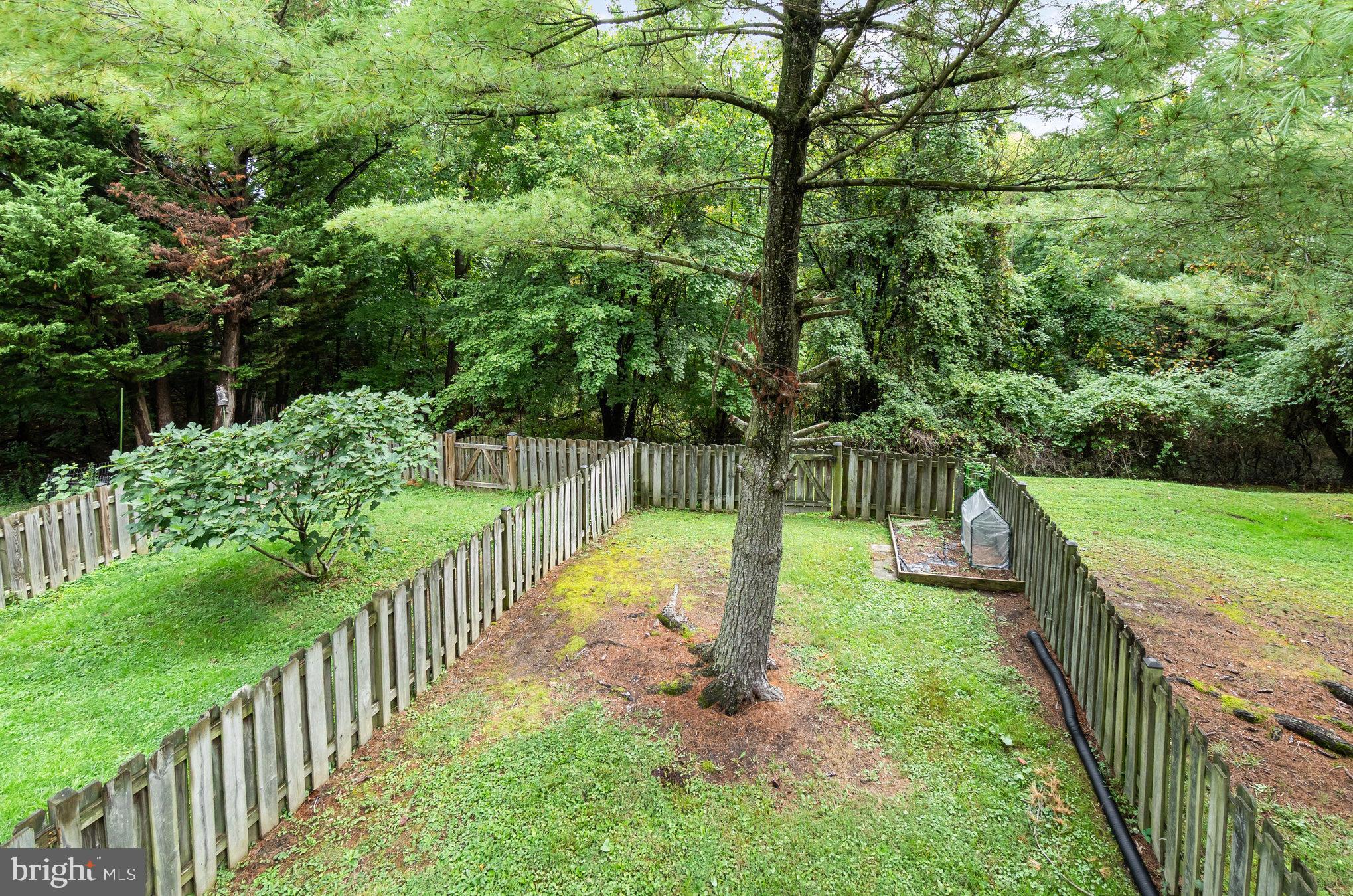 SILVER SPRING STATION - Residential