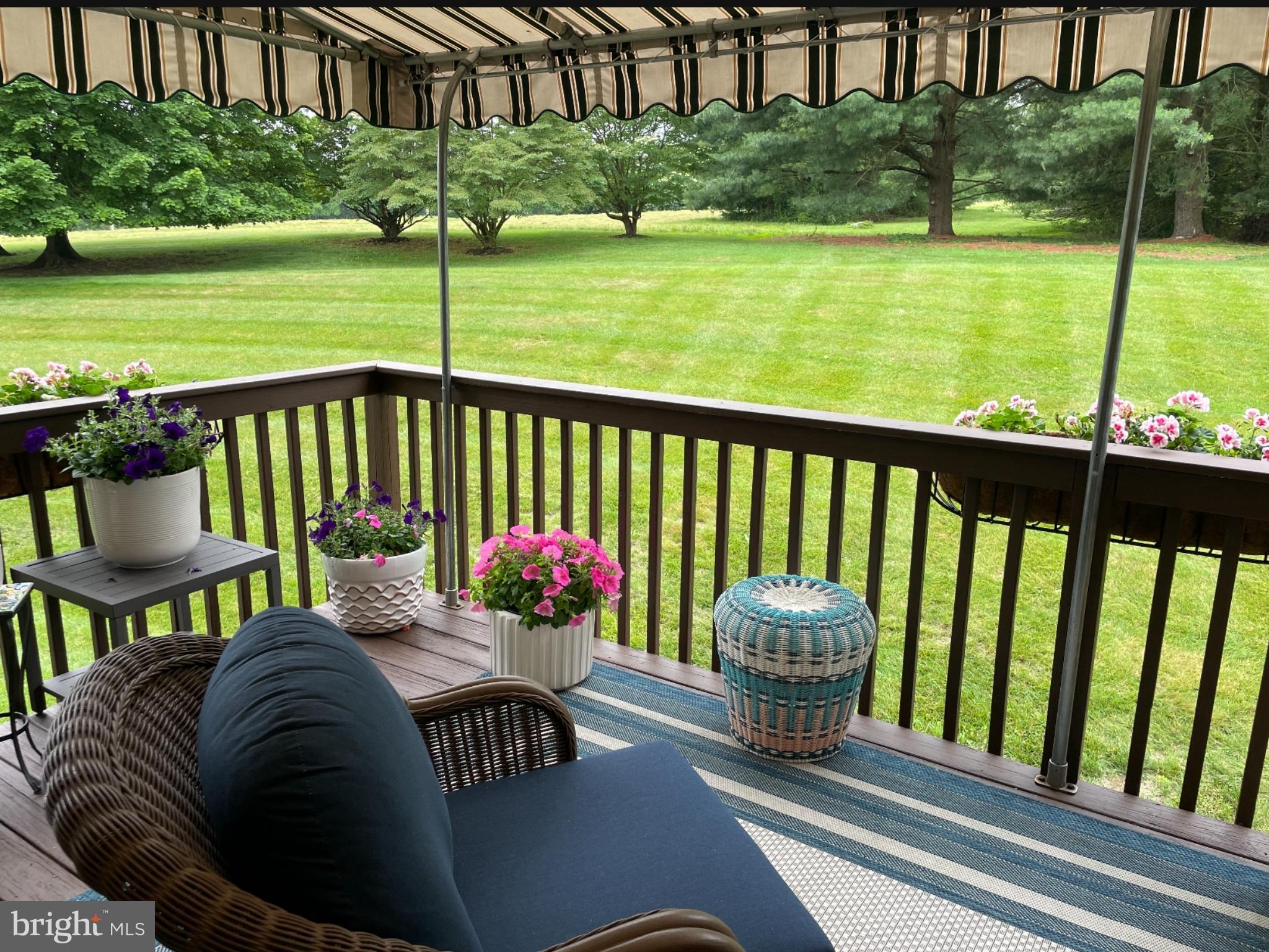 447 HOMESTEAD DRIVE 81-A