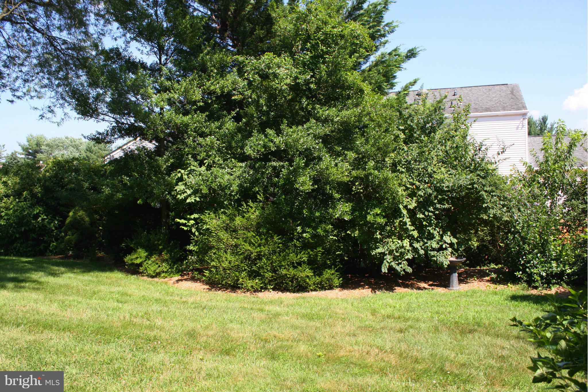 MILL CREEK SOUTH - Residential