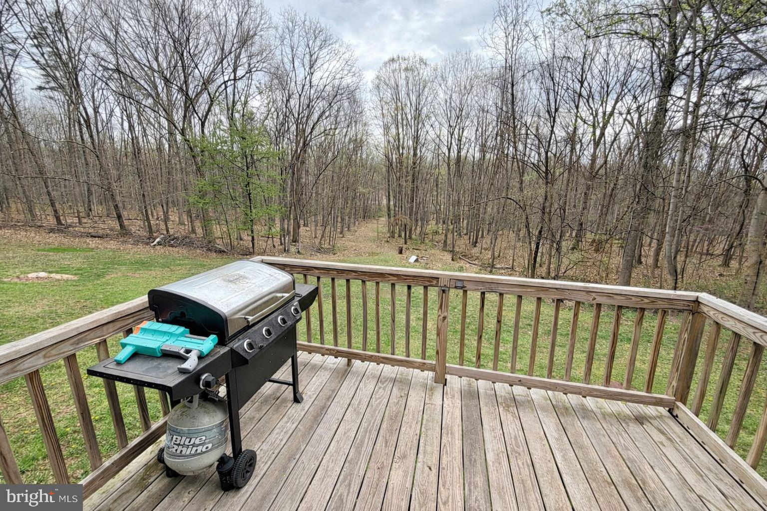 219 MALLARD RUN ROAD