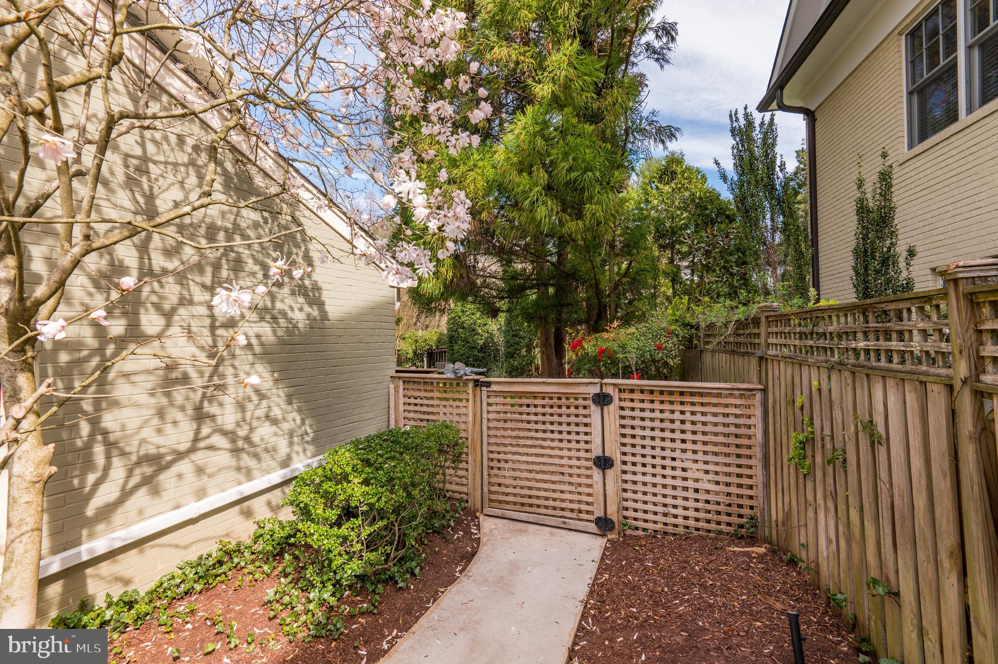 CHEVY CHASE - Residential