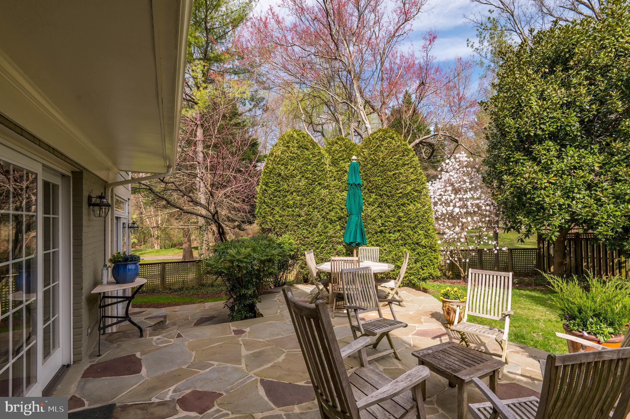 CHEVY CHASE - Residential