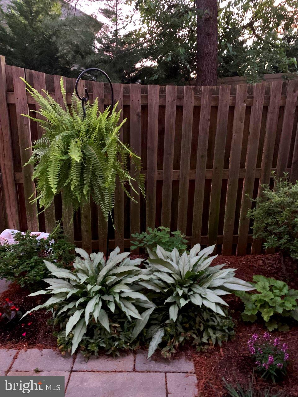 OAKBOROUGH SQUARE - Residential