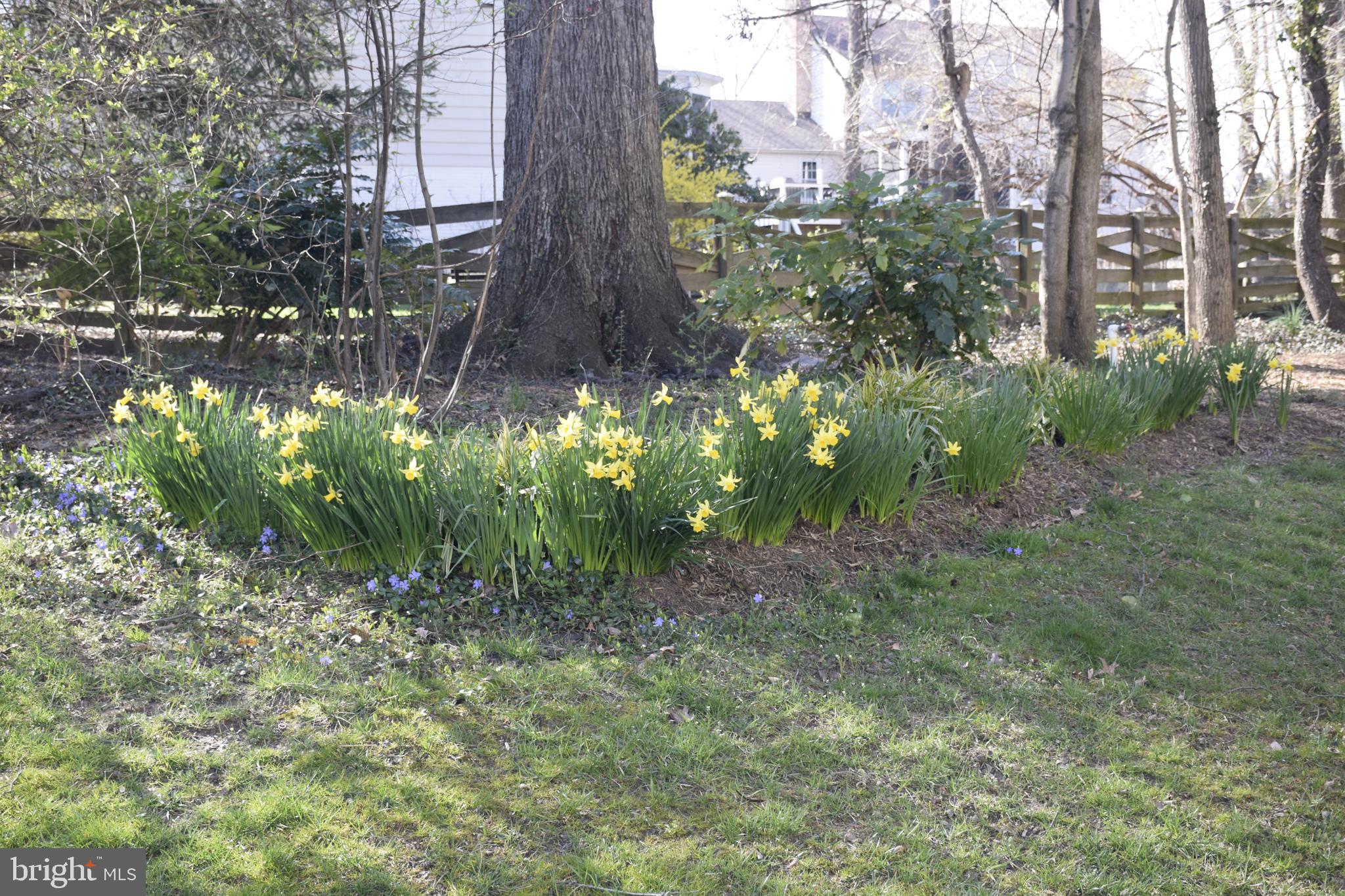 CARTERS GLEN - Residential