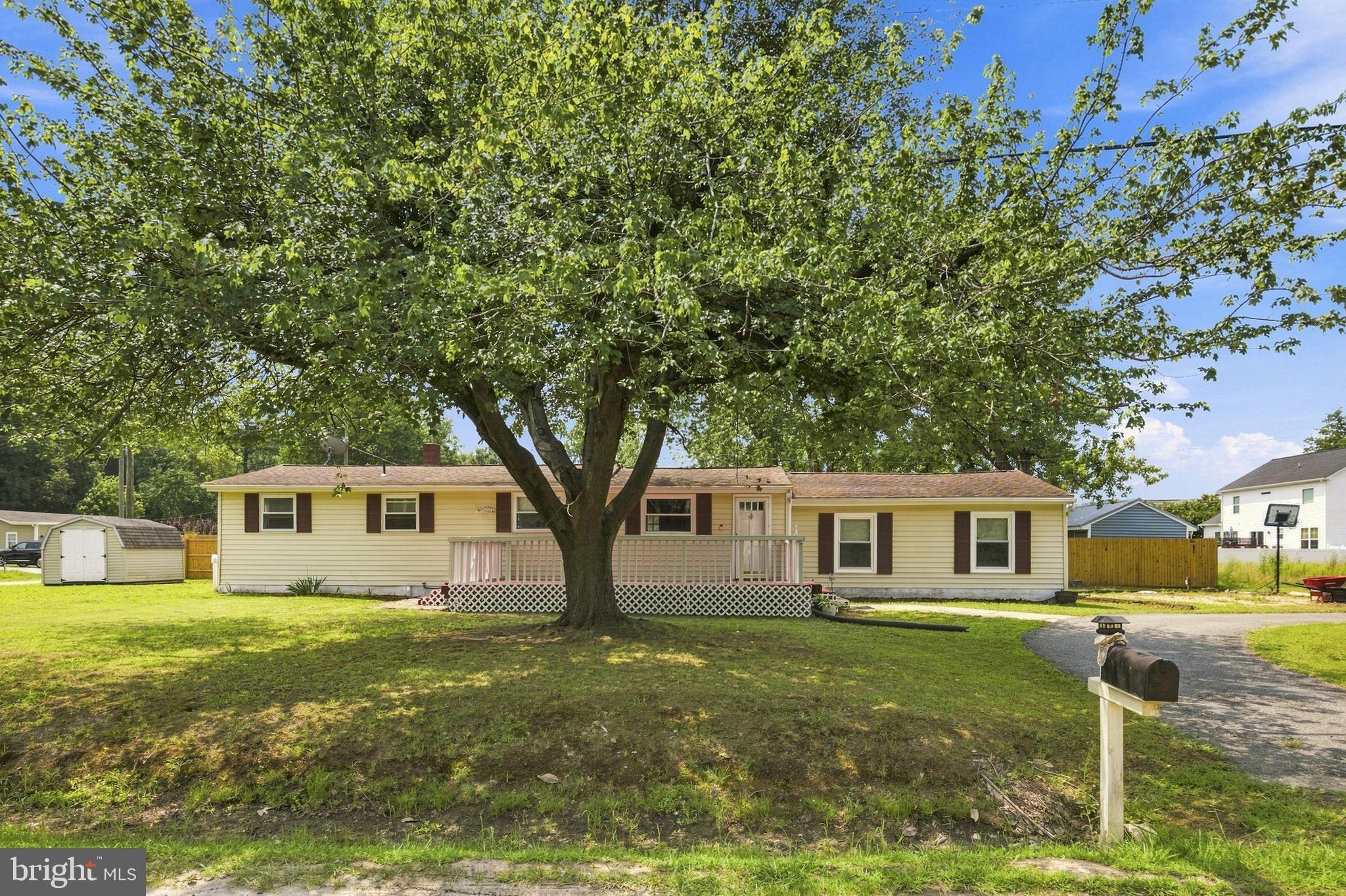 153 RICHMOND ROAD
