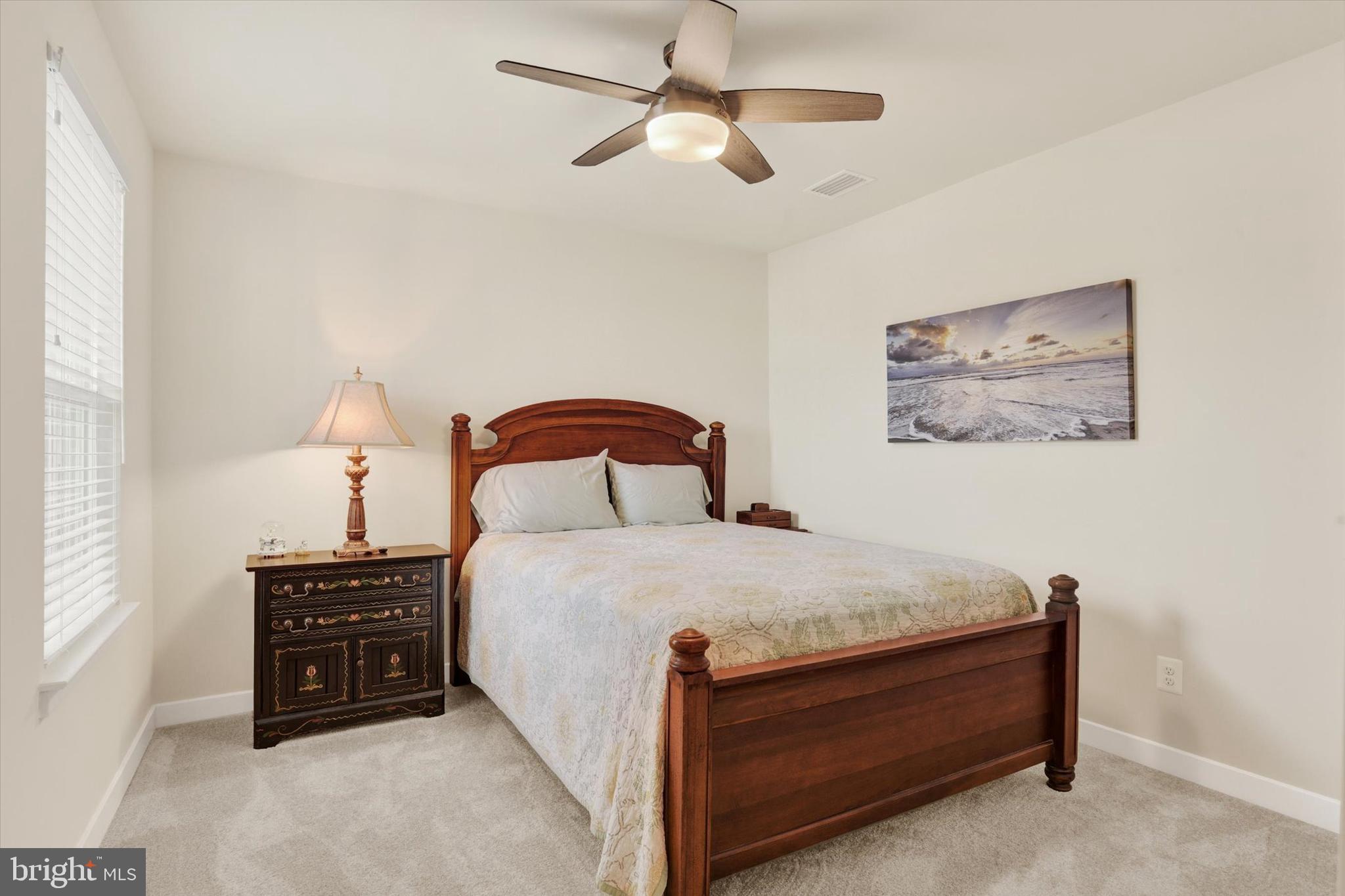 BLUE RIDGE PARK - Residential