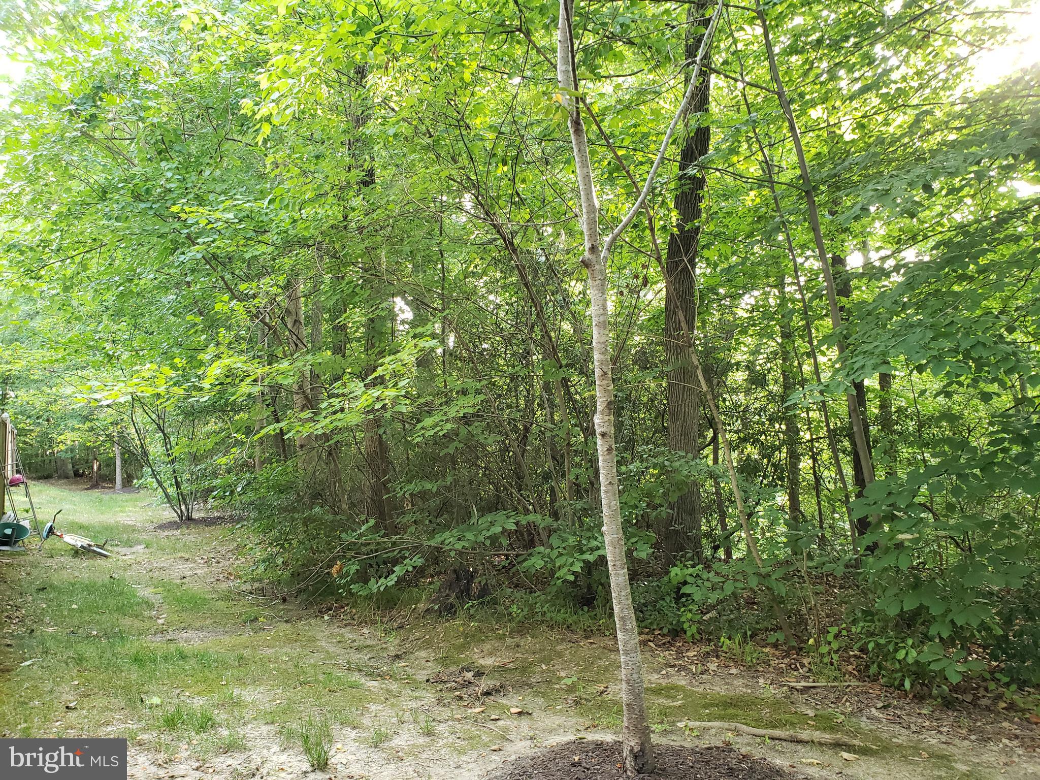 RUSSETT GREEN - Residential