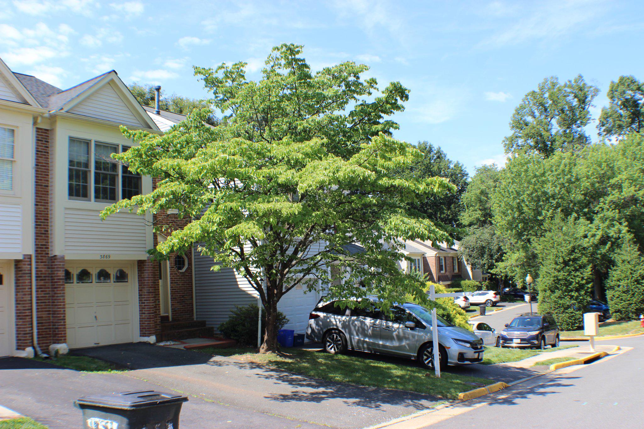 3869 WAYTHORN PLACE