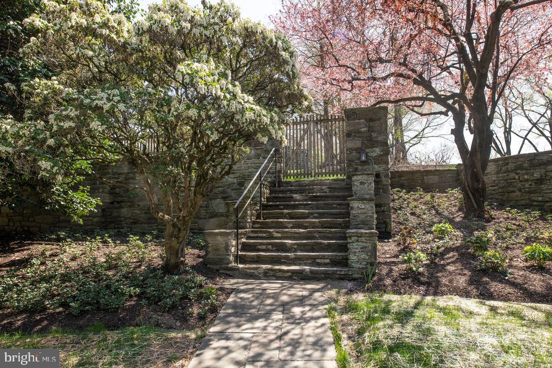 CHESTNUT HILL - Residential