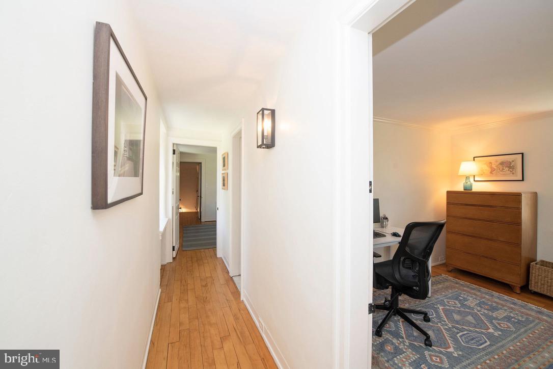 CHESTNUT HILL - Residential