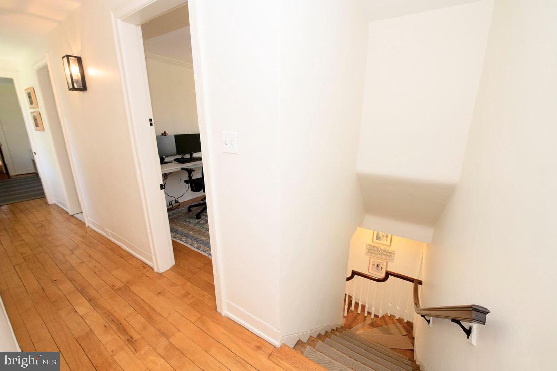 CHESTNUT HILL - Residential