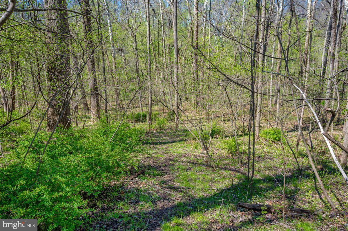 HORSESHOE BEND - Residential