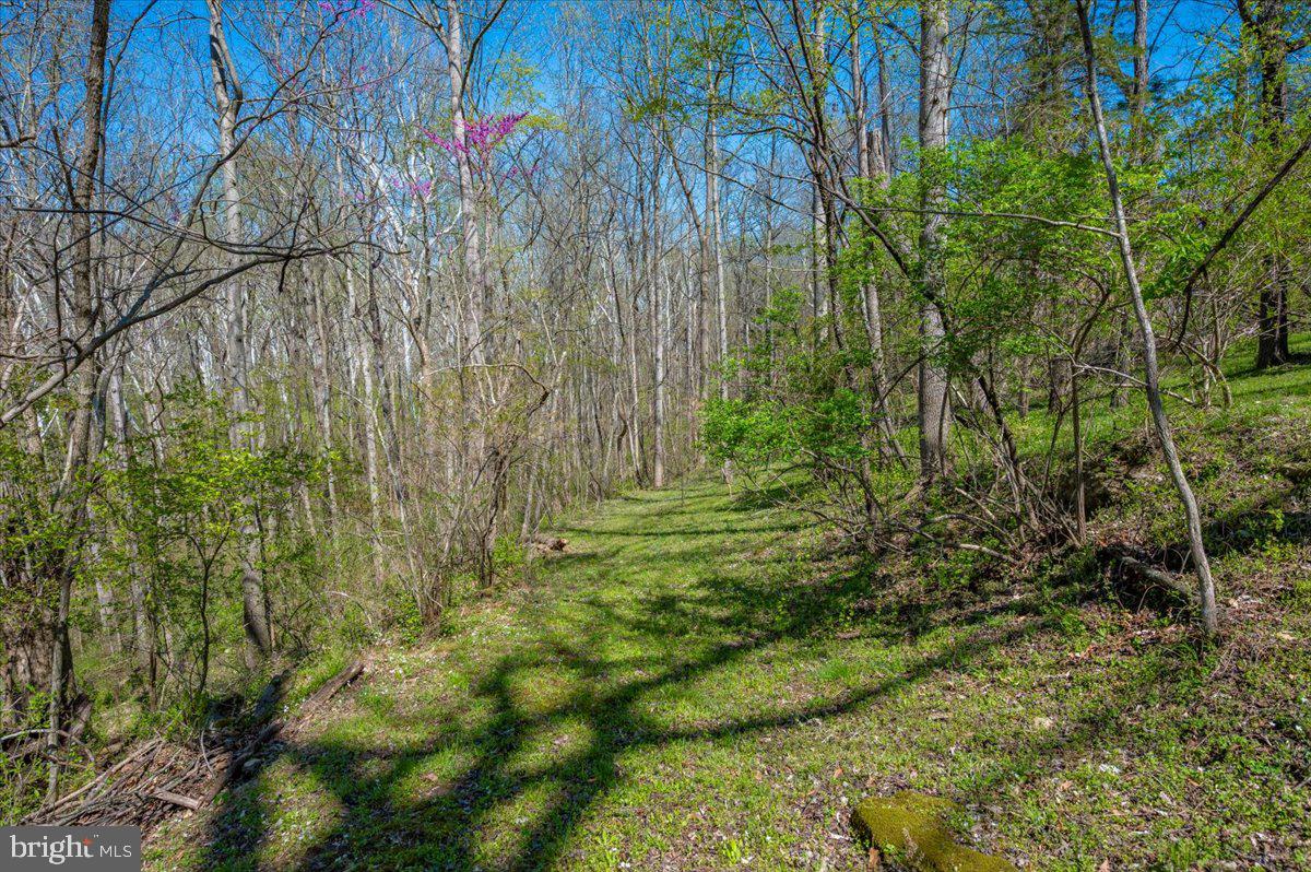 HORSESHOE BEND - Residential