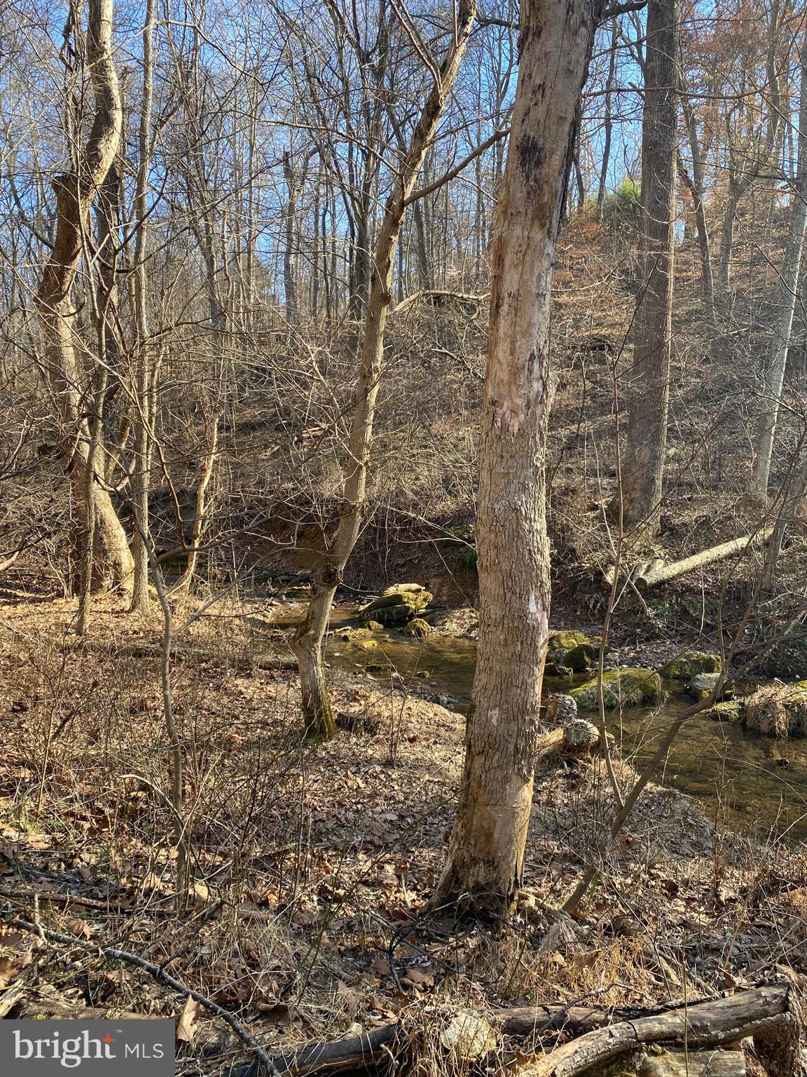 HORSESHOE BEND - Residential