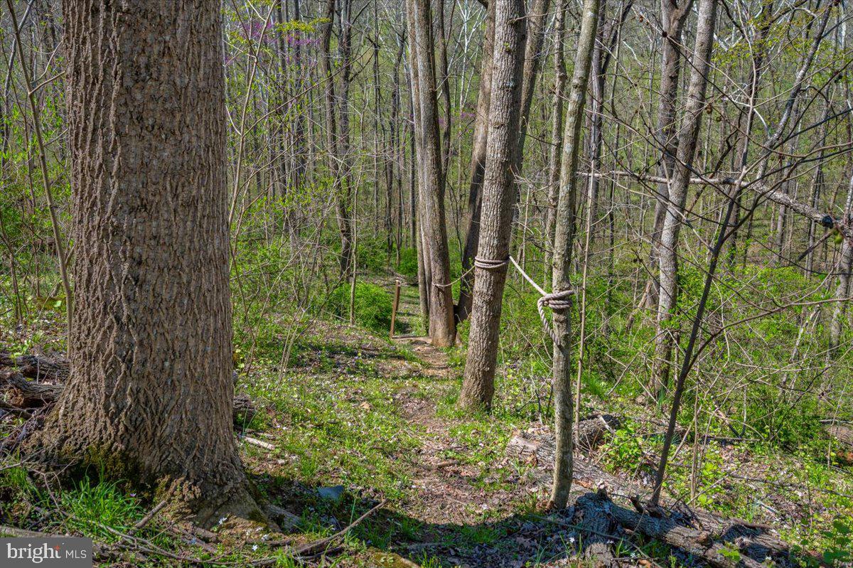 HORSESHOE BEND - Residential