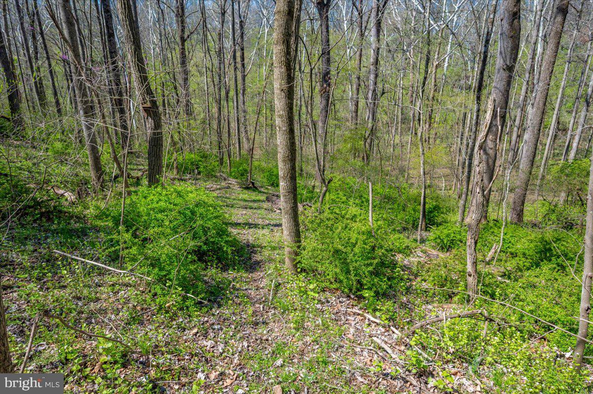 HORSESHOE BEND - Residential