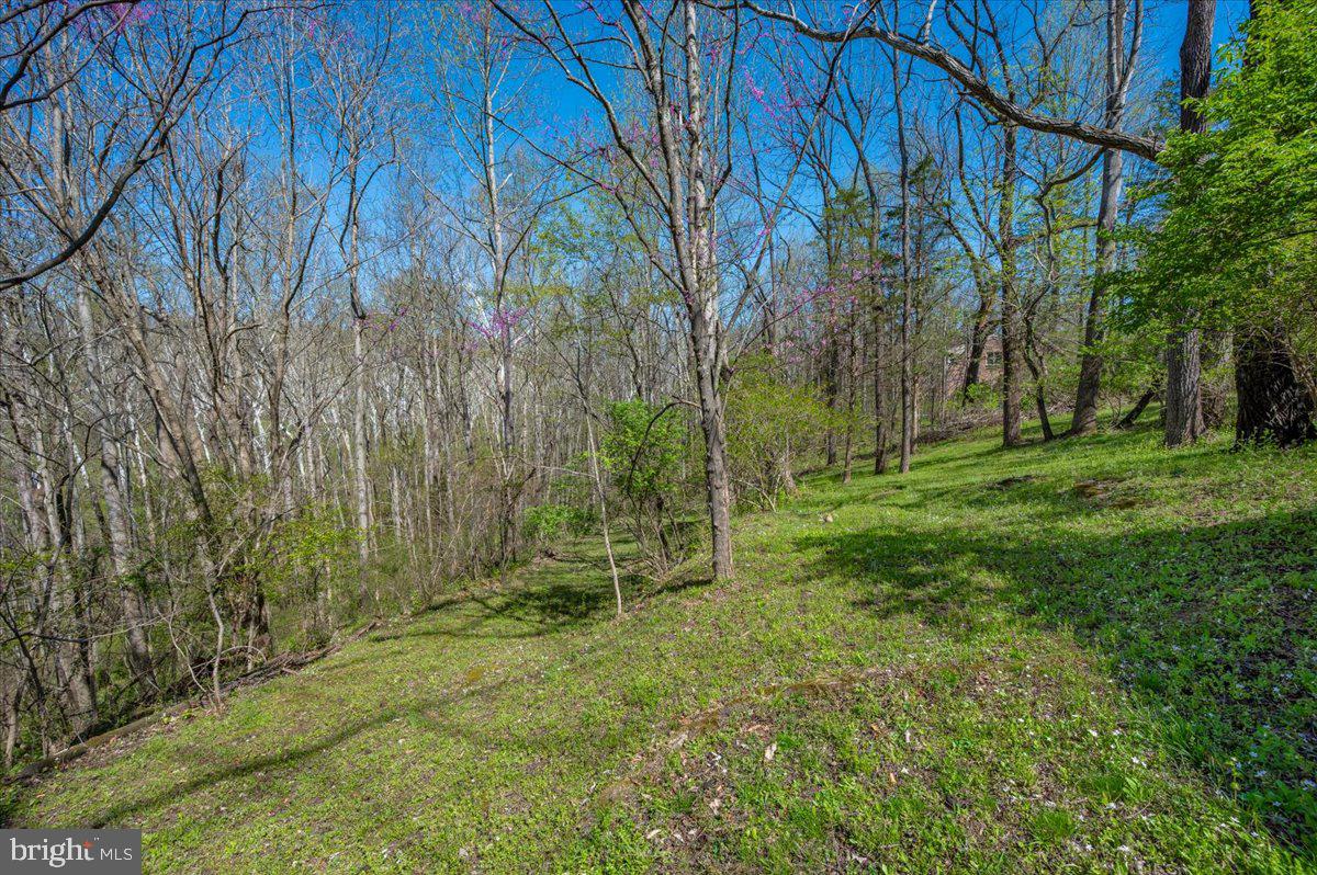 HORSESHOE BEND - Residential
