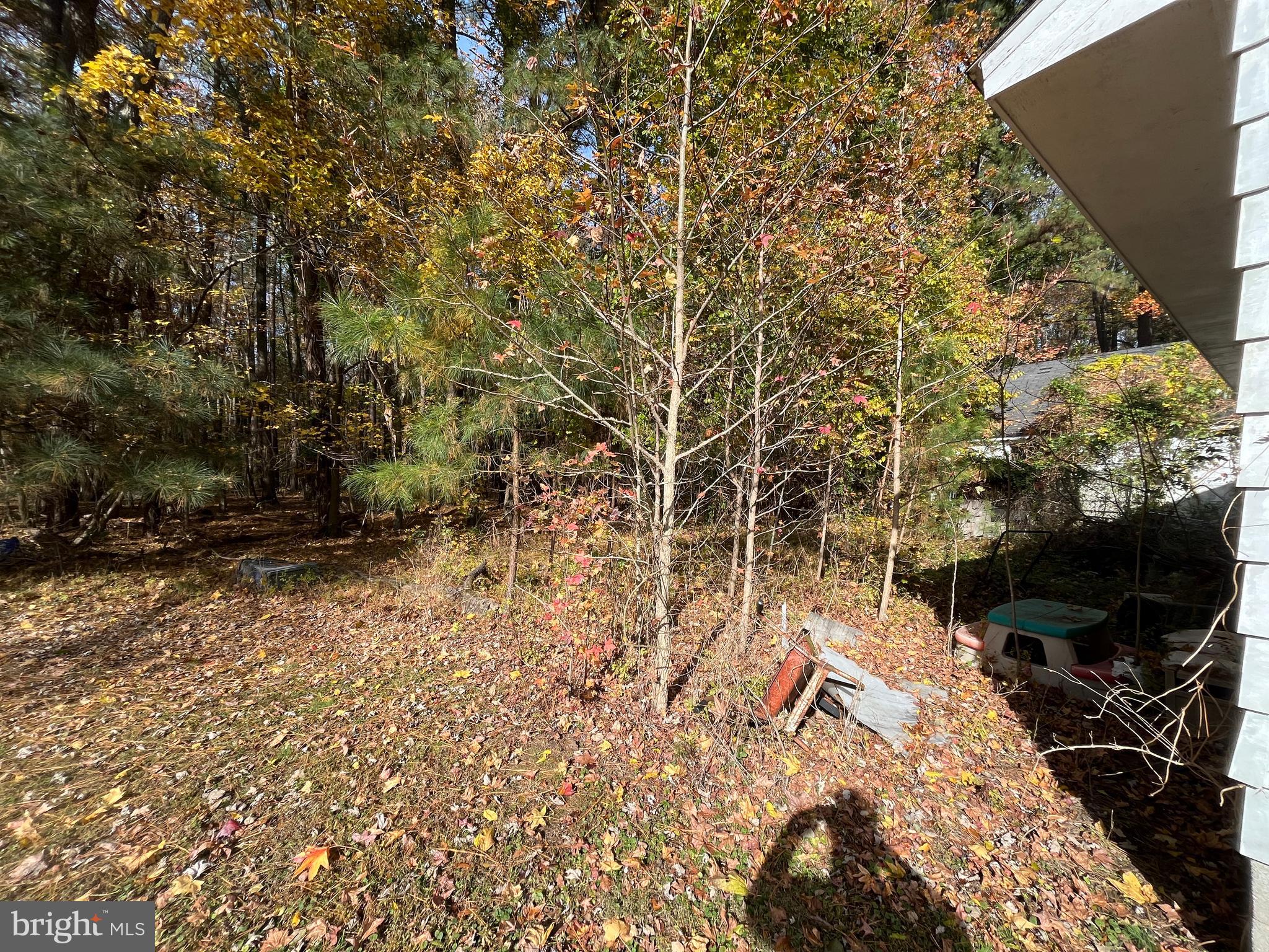 CAMBRIDGE - Residential