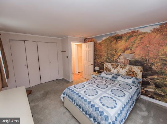 FOX GLEN - Residential