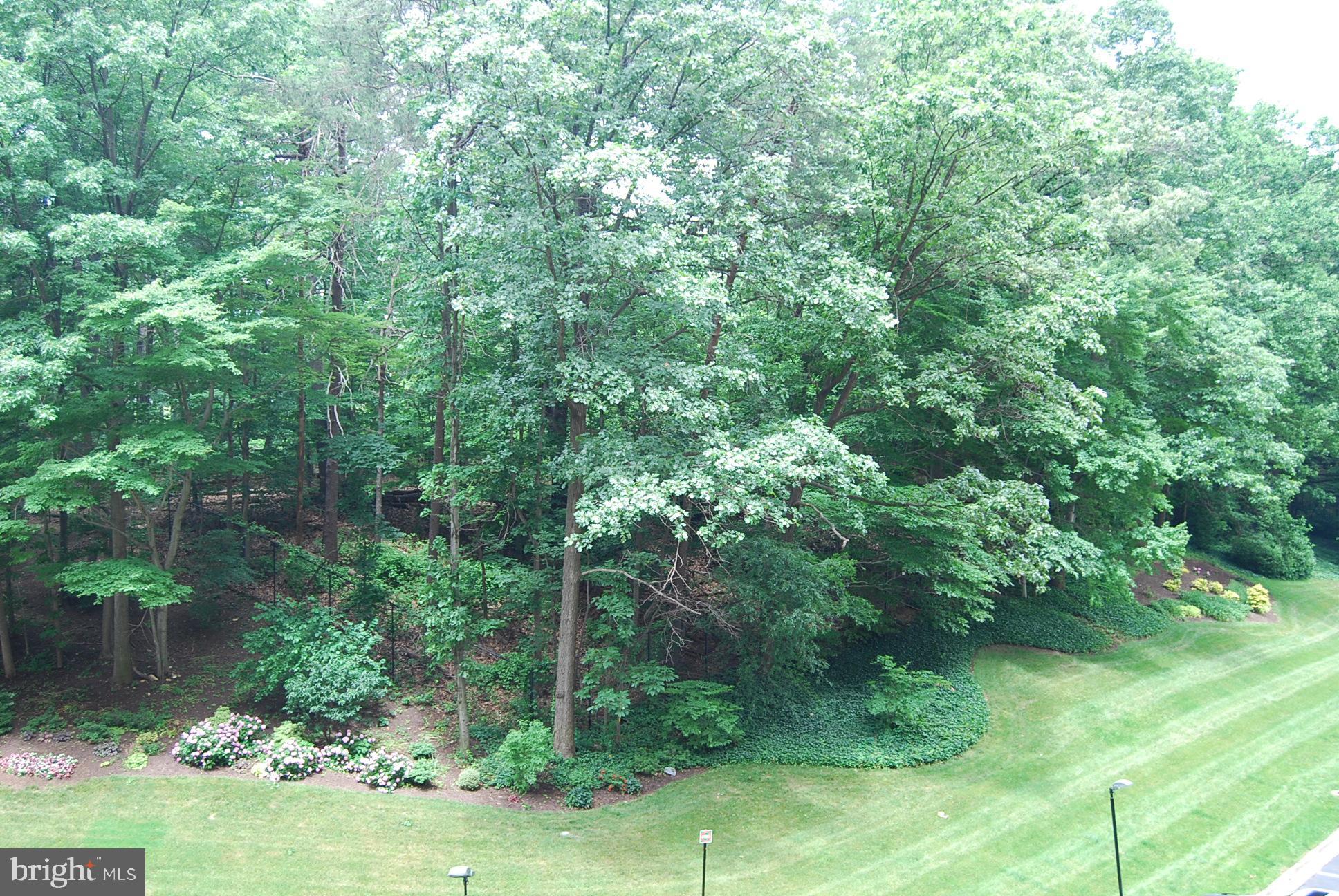 WATERGATE AT LANDMARK - Residential Lease