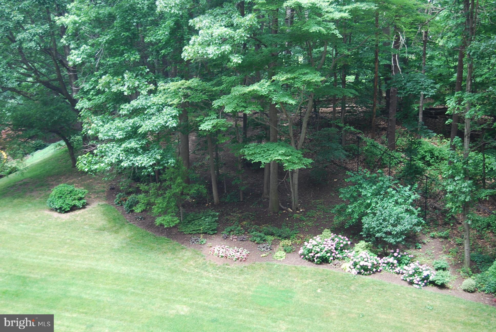 WATERGATE AT LANDMARK - Residential Lease