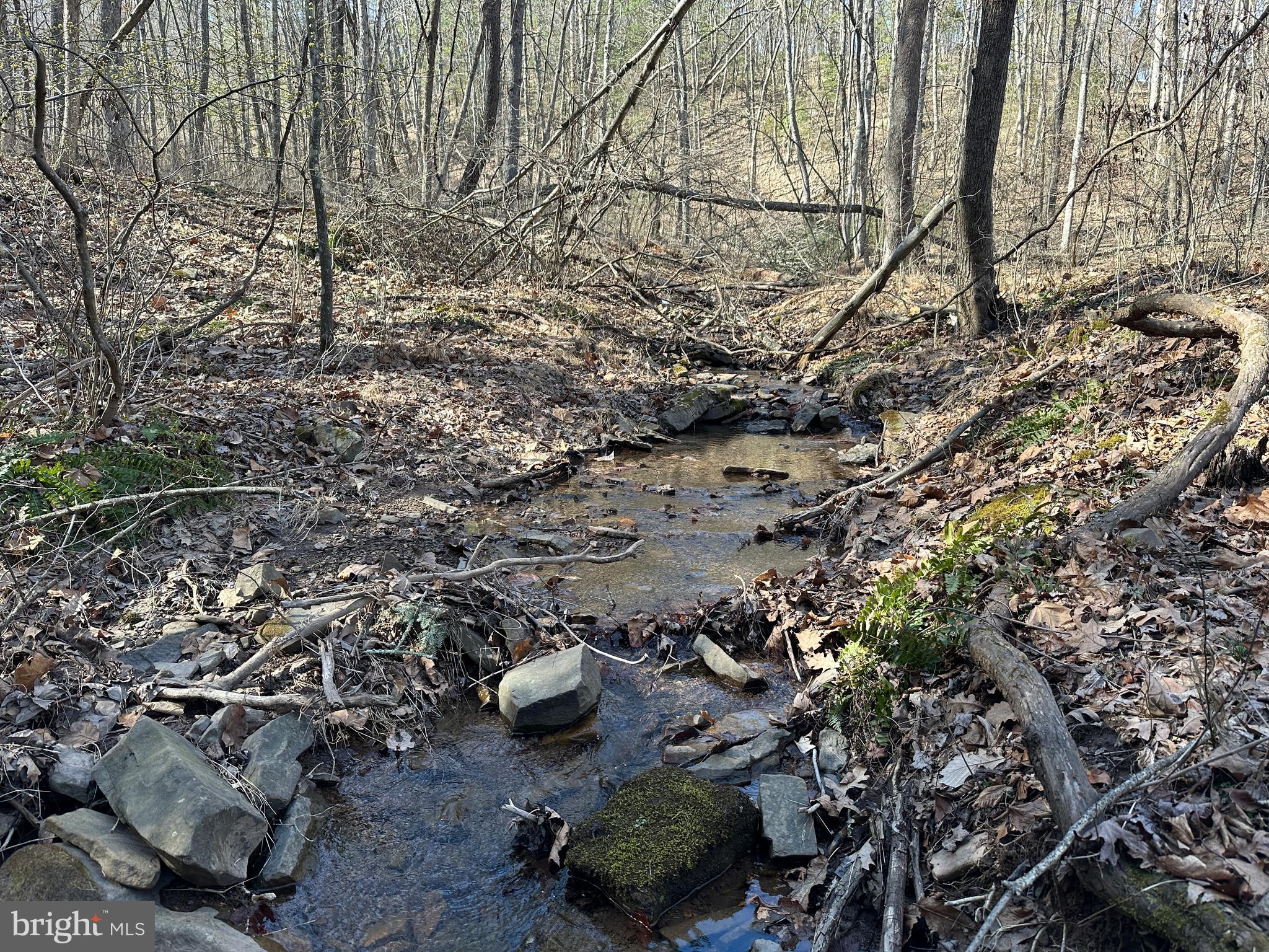 NORTH RIVER WILDERNESS - Land