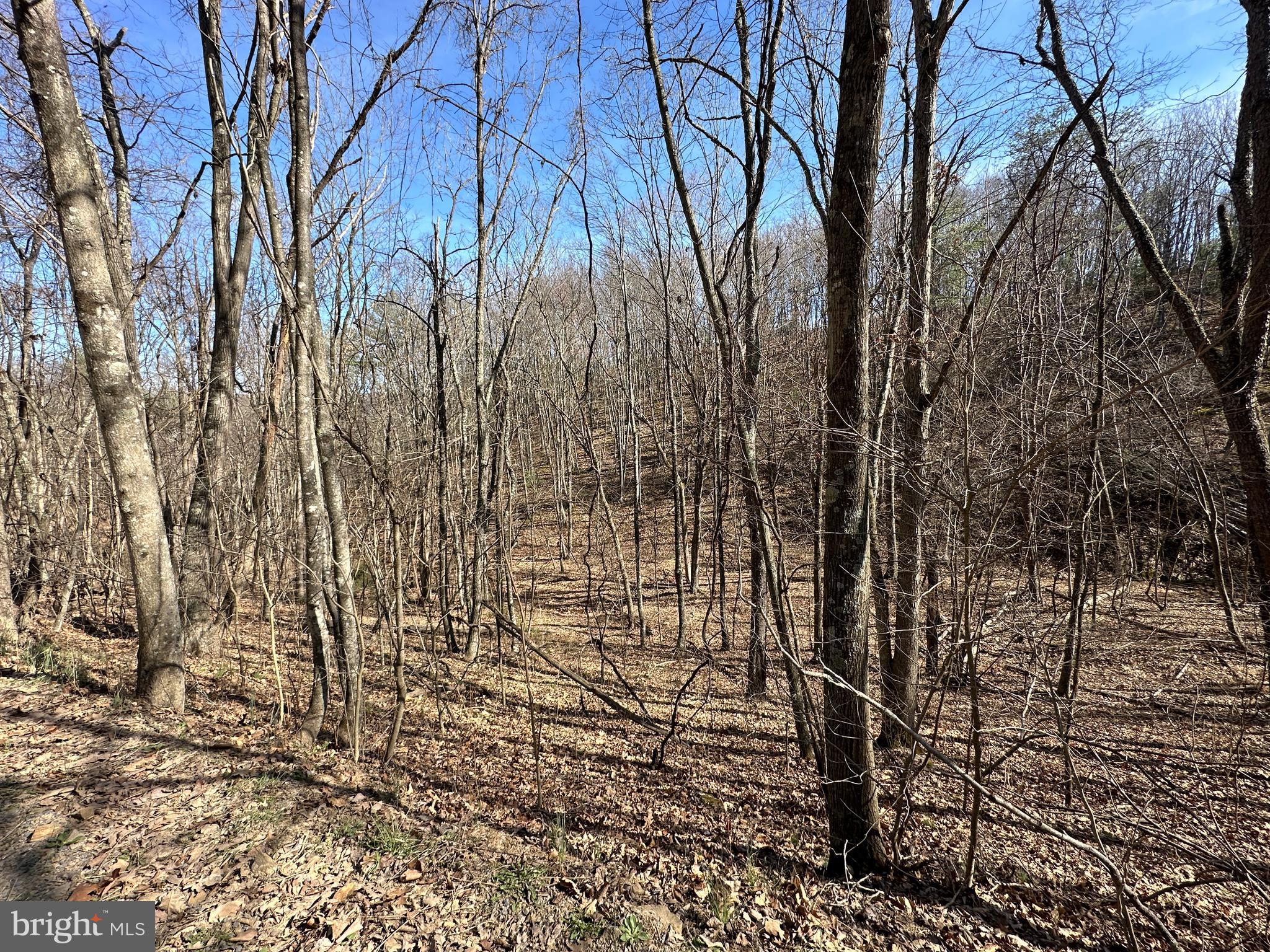 NORTH RIVER WILDERNESS - Land