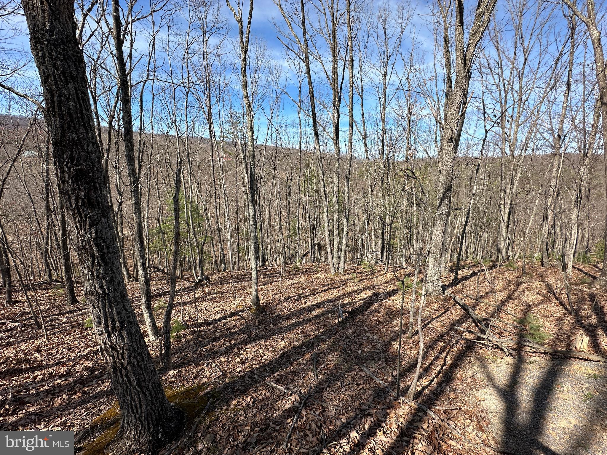 NORTH RIVER WILDERNESS - Land