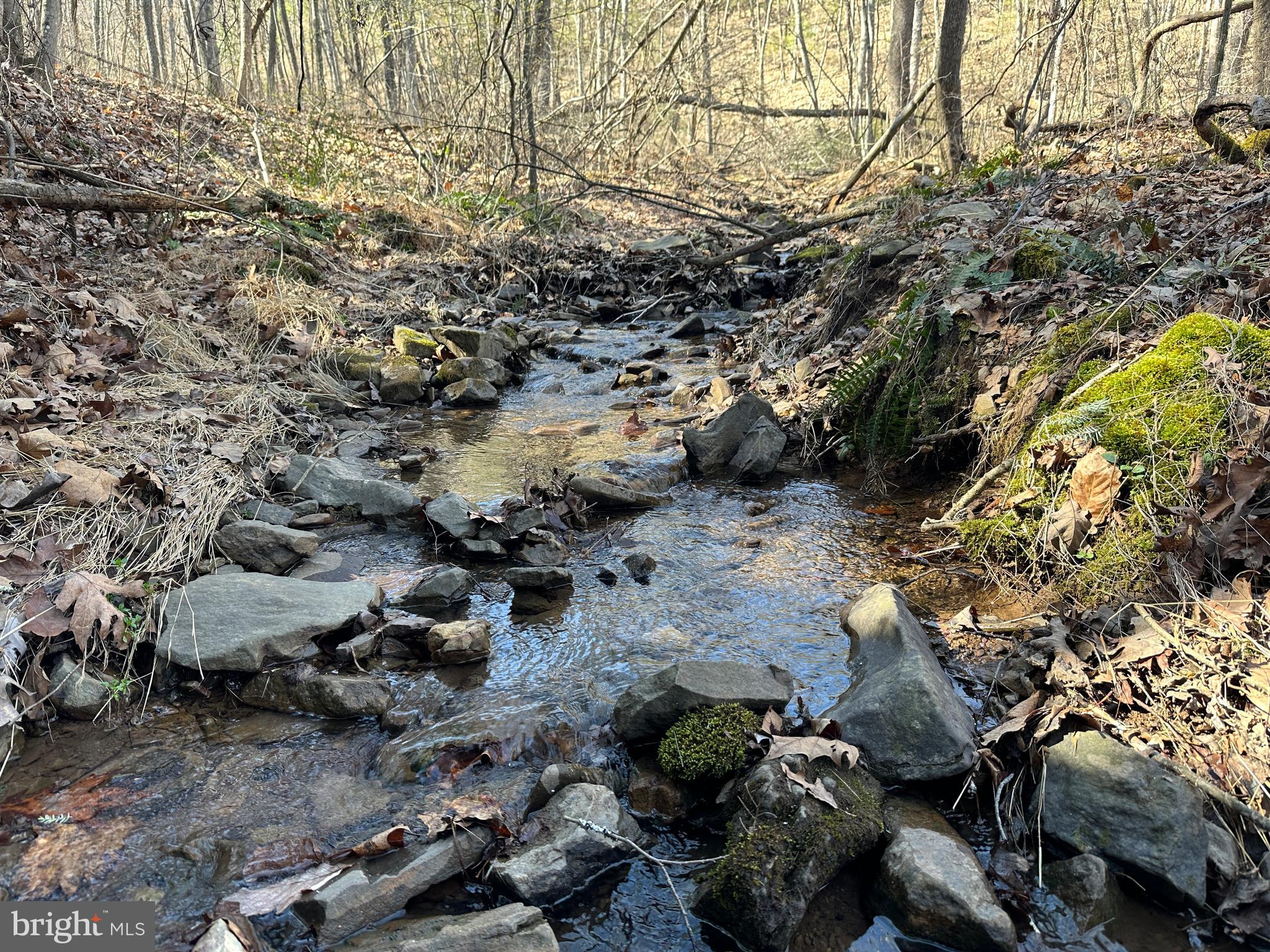 NORTH RIVER WILDERNESS - Land
