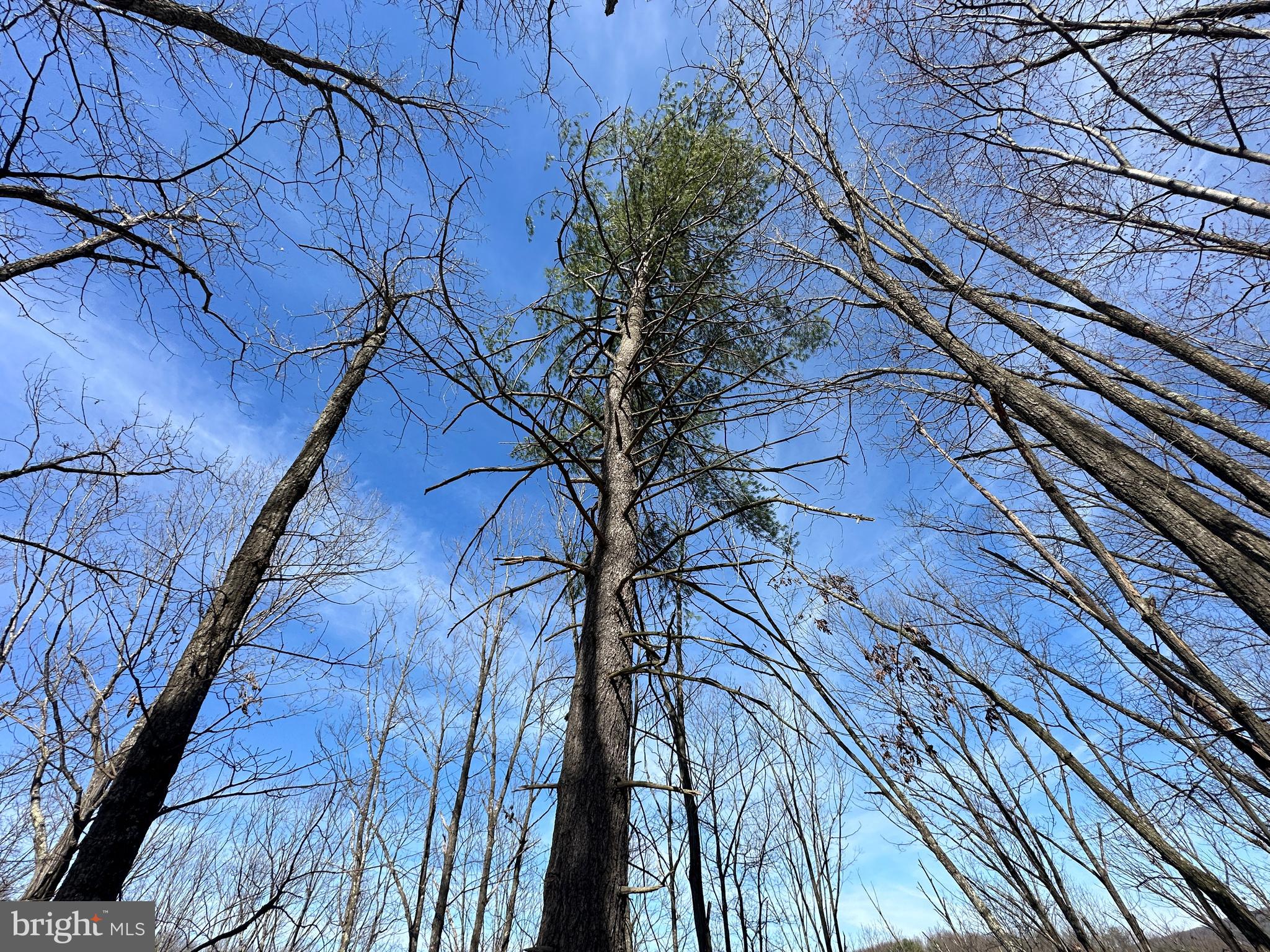 NORTH RIVER WILDERNESS - Land
