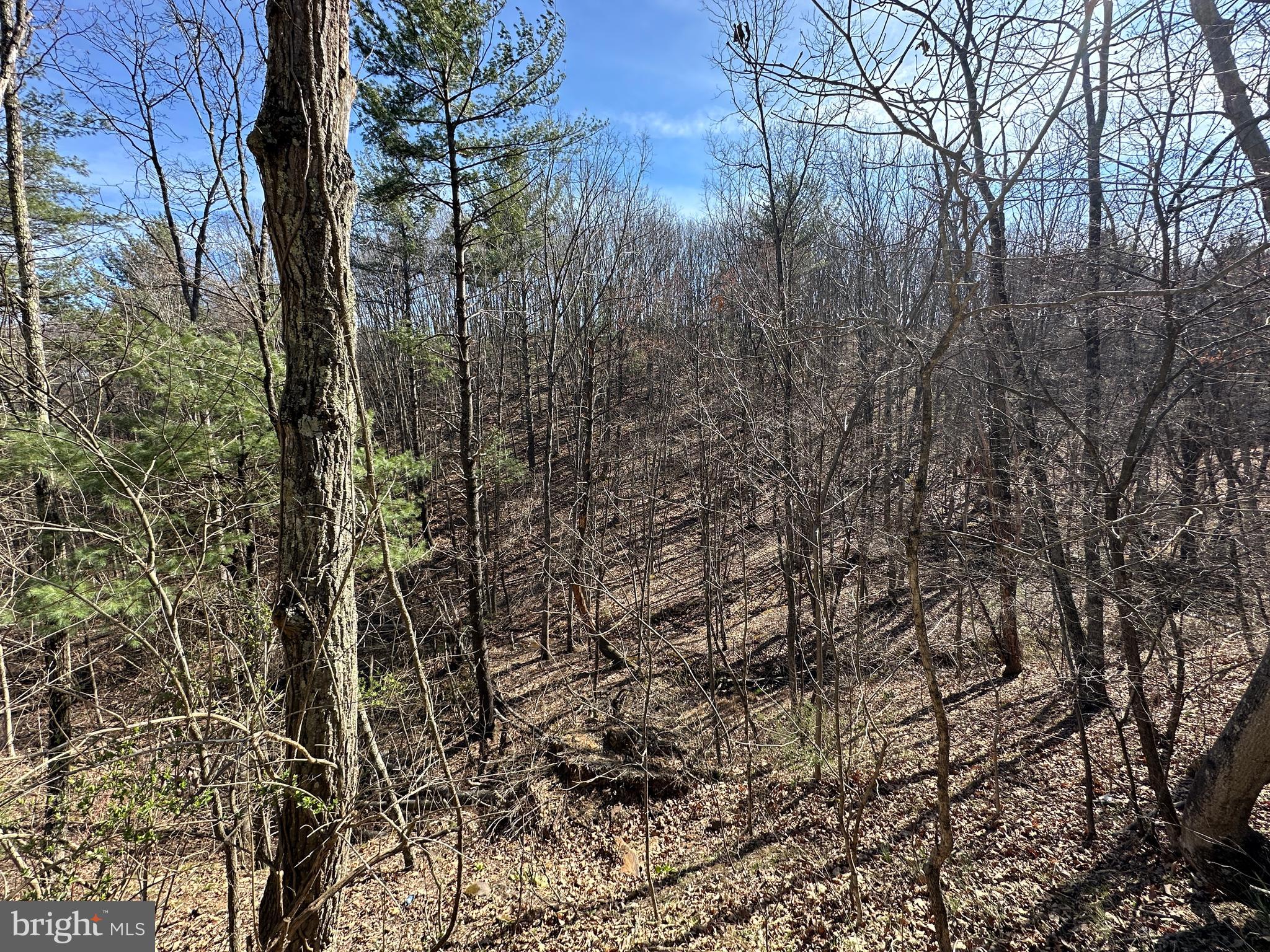 NORTH RIVER WILDERNESS - Land