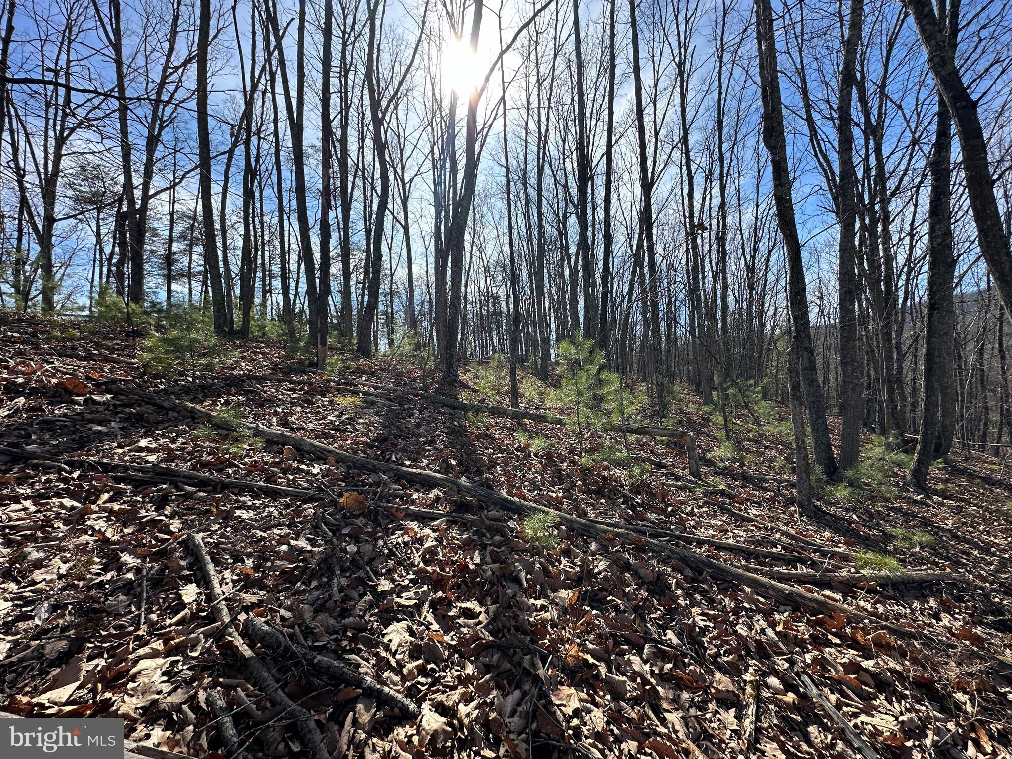 NORTH RIVER WILDERNESS - Land